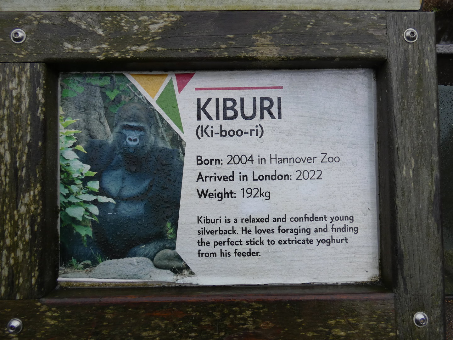 Signage for new male gorilla