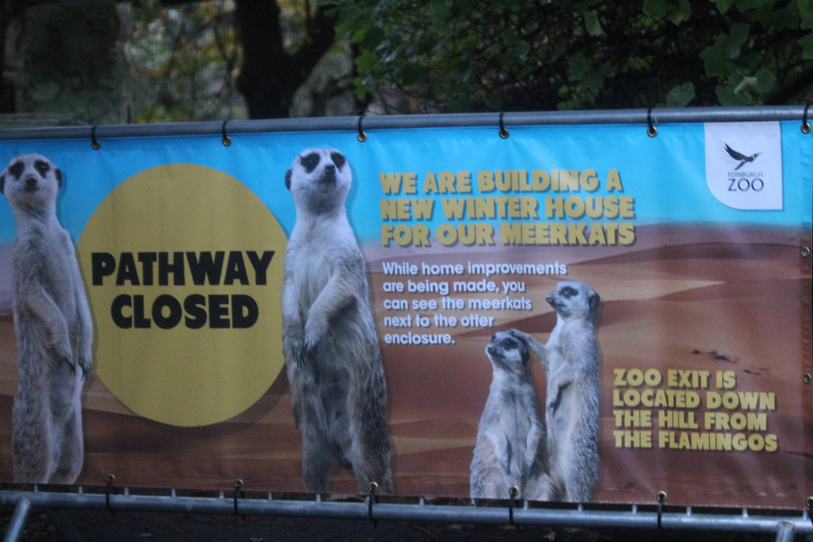 Signage for new Meerkat house