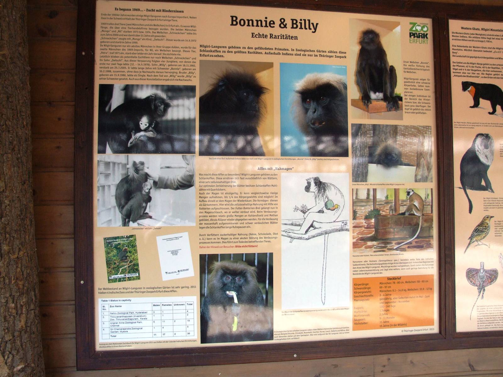 Signage for Nilgiri Langurs at Erfurt, 18/03/15