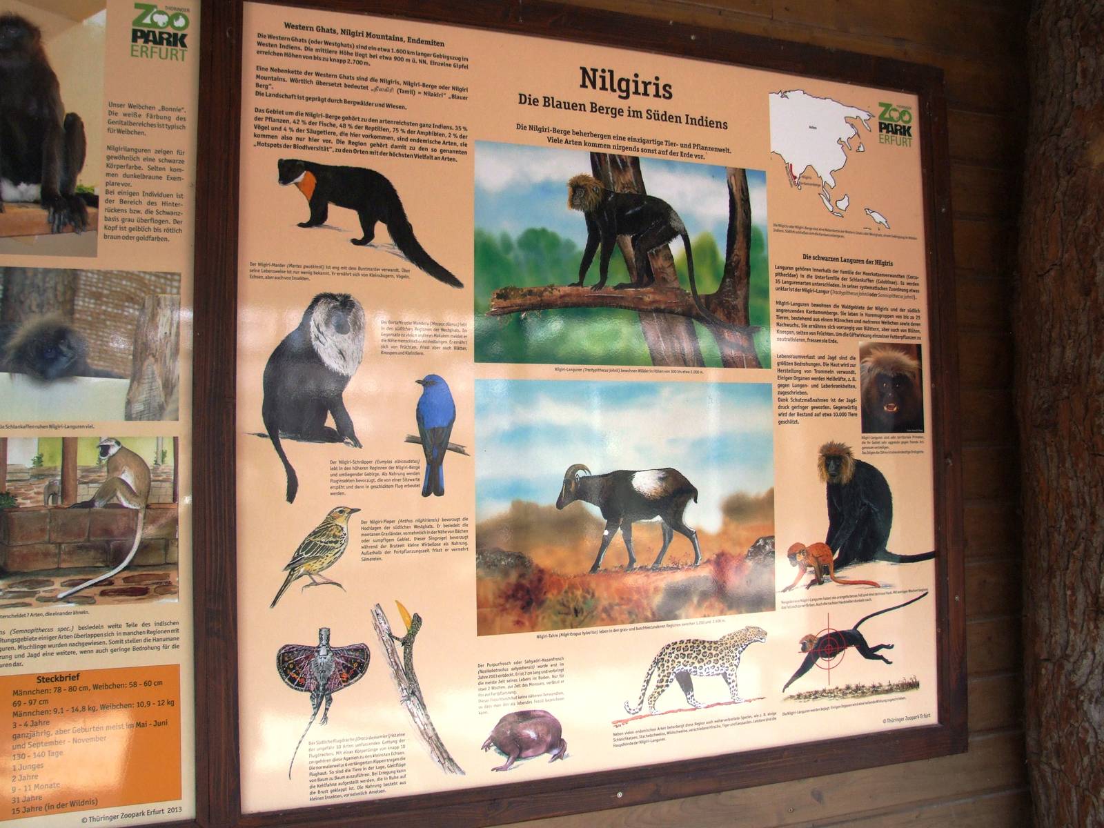 Signage for Nilgiri Langurs at Erfurt, 18/03/15