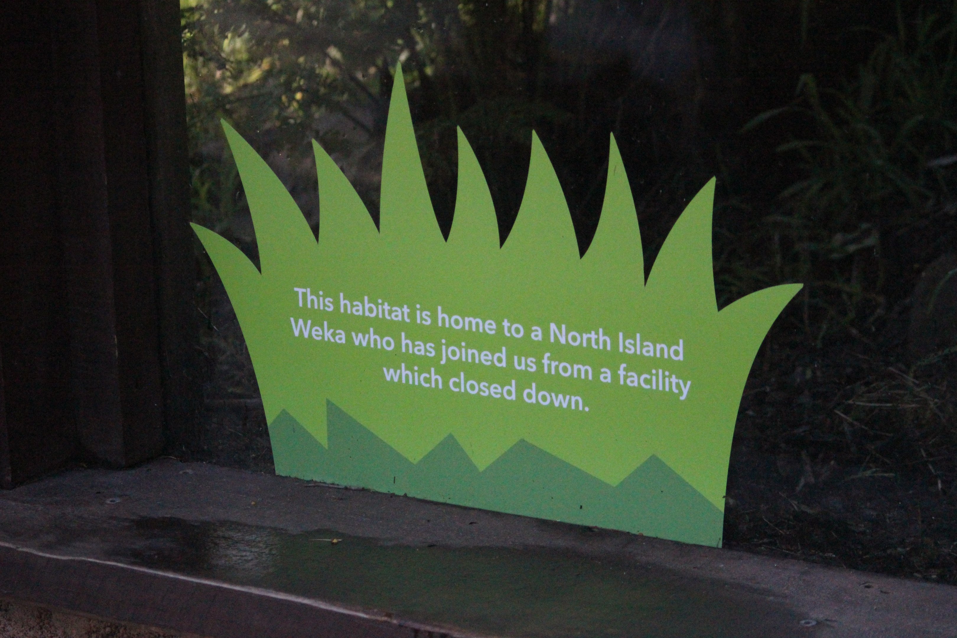 Signage for North Island Weka