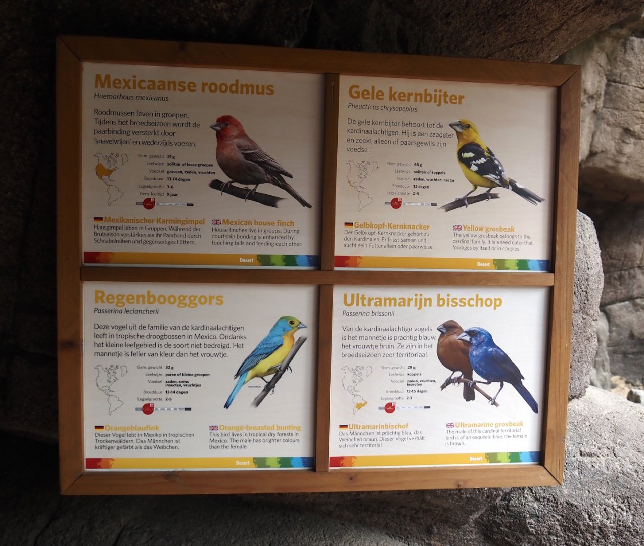 Signage for passerines in canyon aviary in Burgers' Desert, 2025-05-17