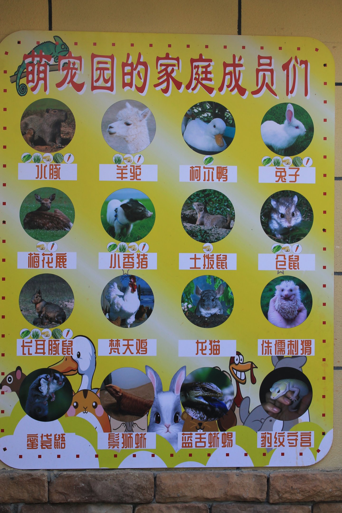 Signage for petting area