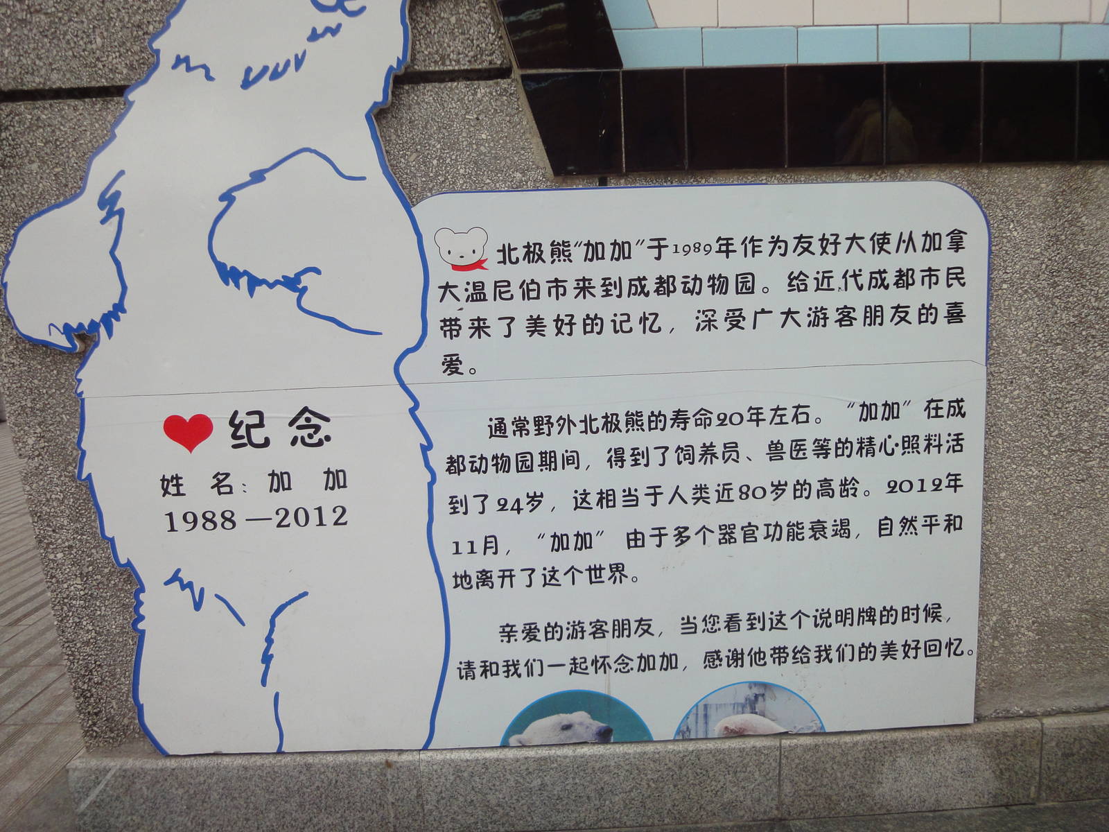 Signage for Polar Bear