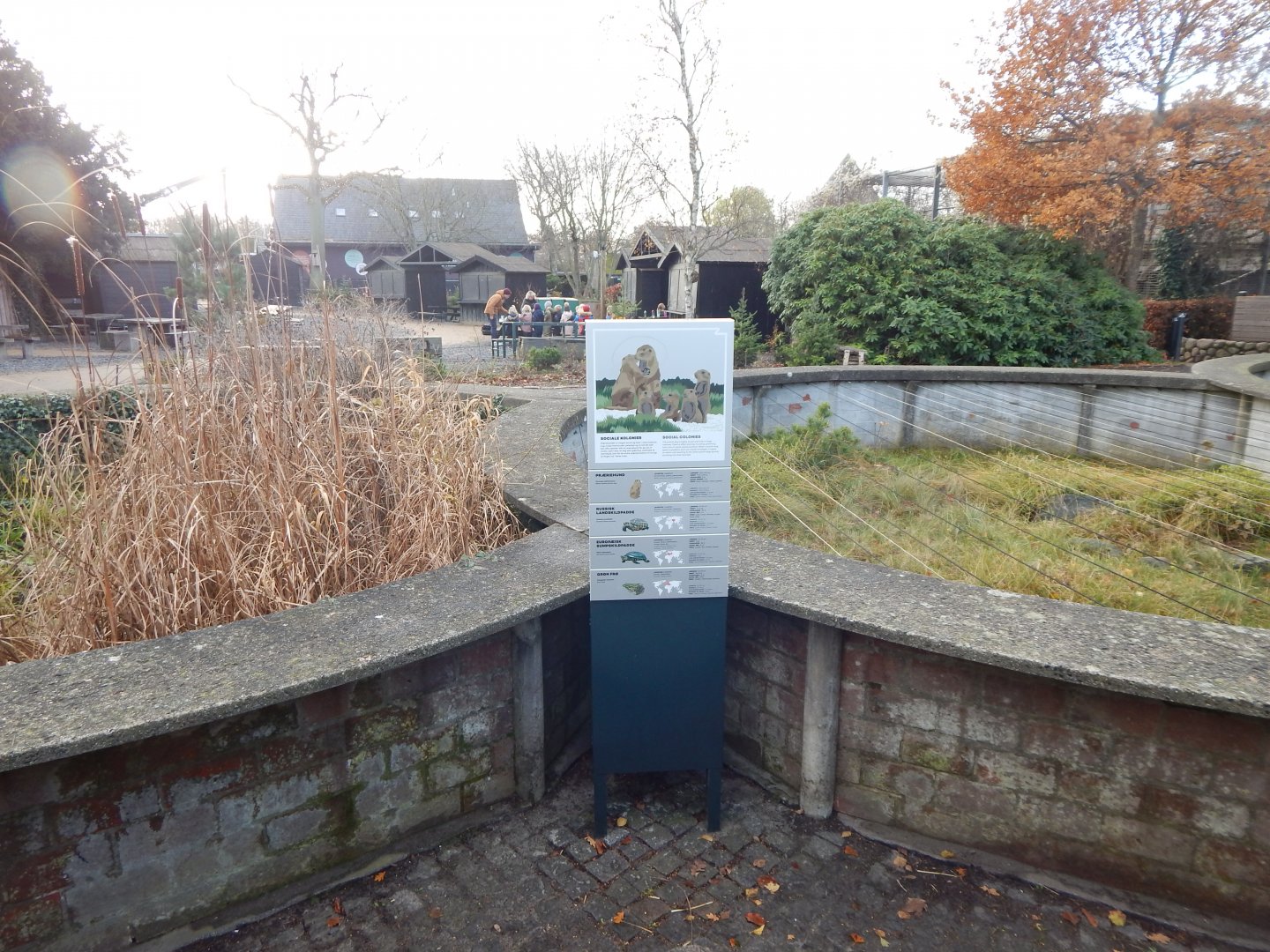 Signage for prairie dogs and tortoises 261124