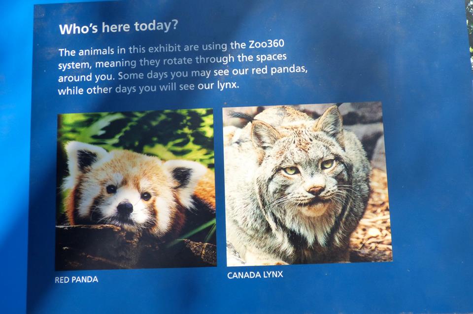 Signage for Red Panda Exhibit #2 (May 2018)