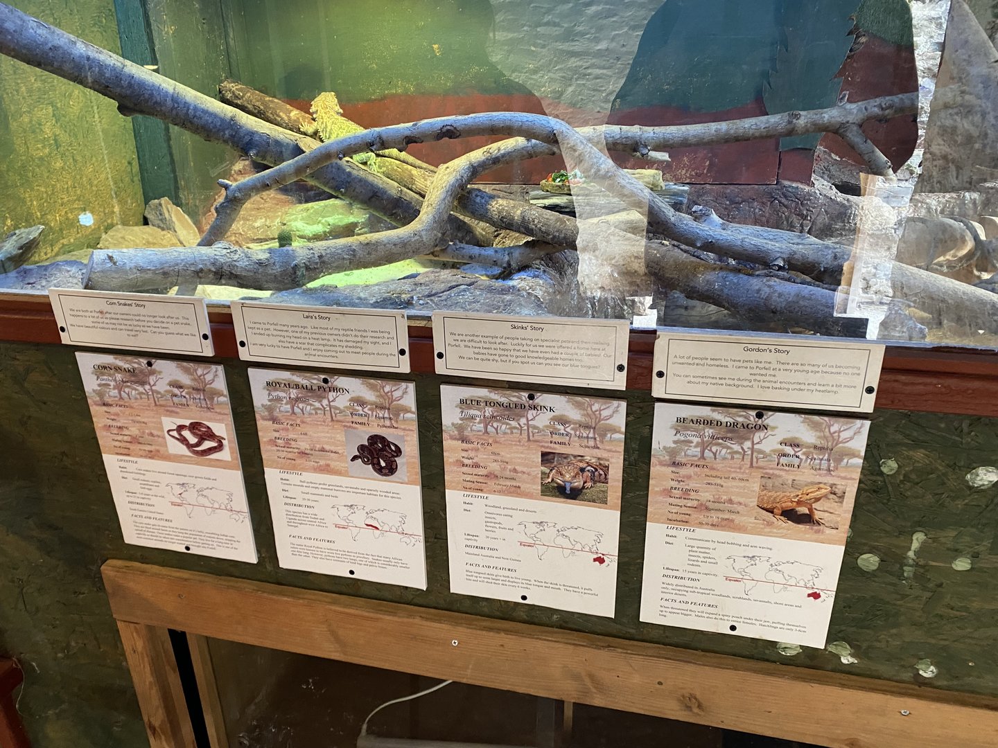 Signage for Reptile House 151022