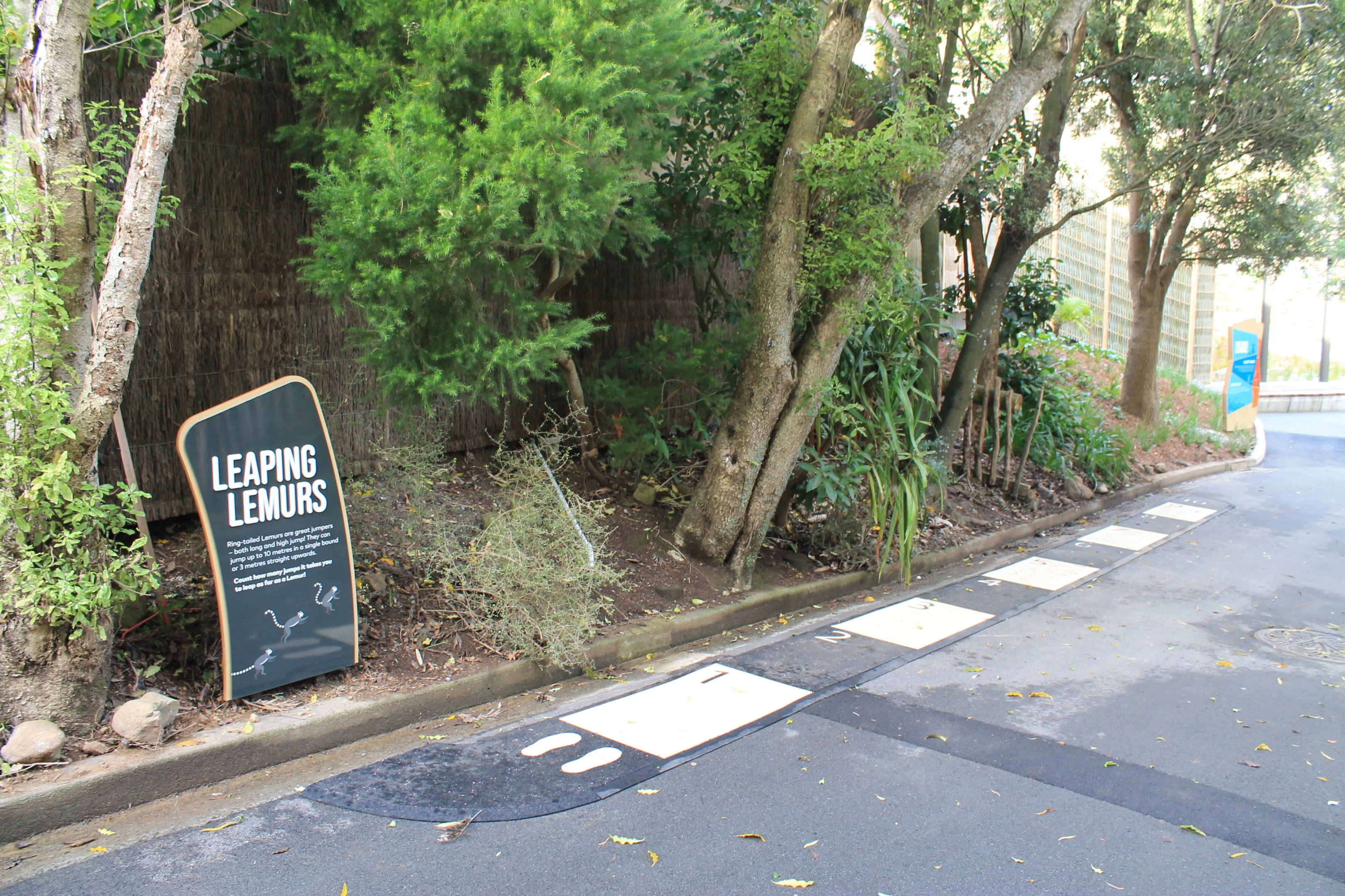 Signage for Ring-tailed Lemurs