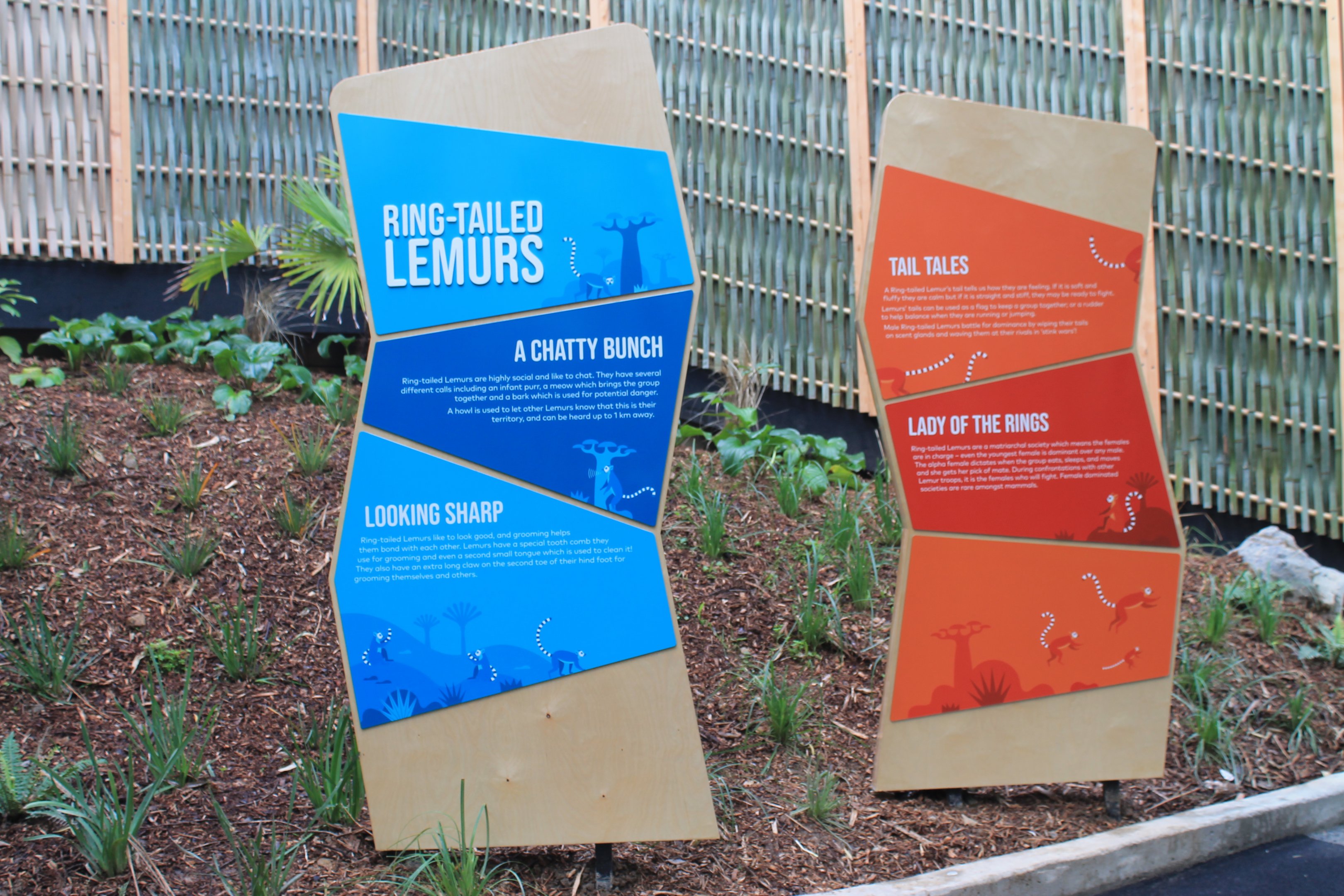 Signage for Ring-tailed Lemurs