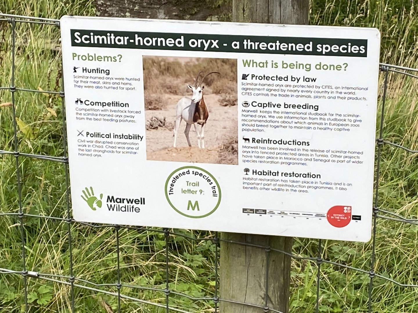 Signage for Scimitar-horned oryx 120821