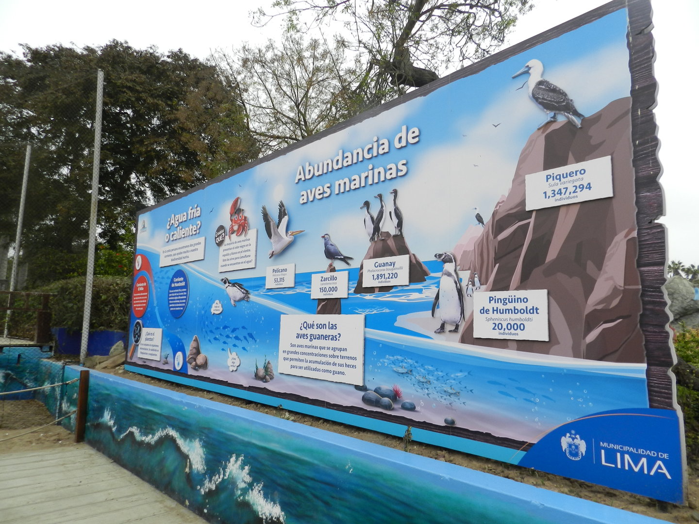 Signage for seabirds - Parque de Las Leyendas