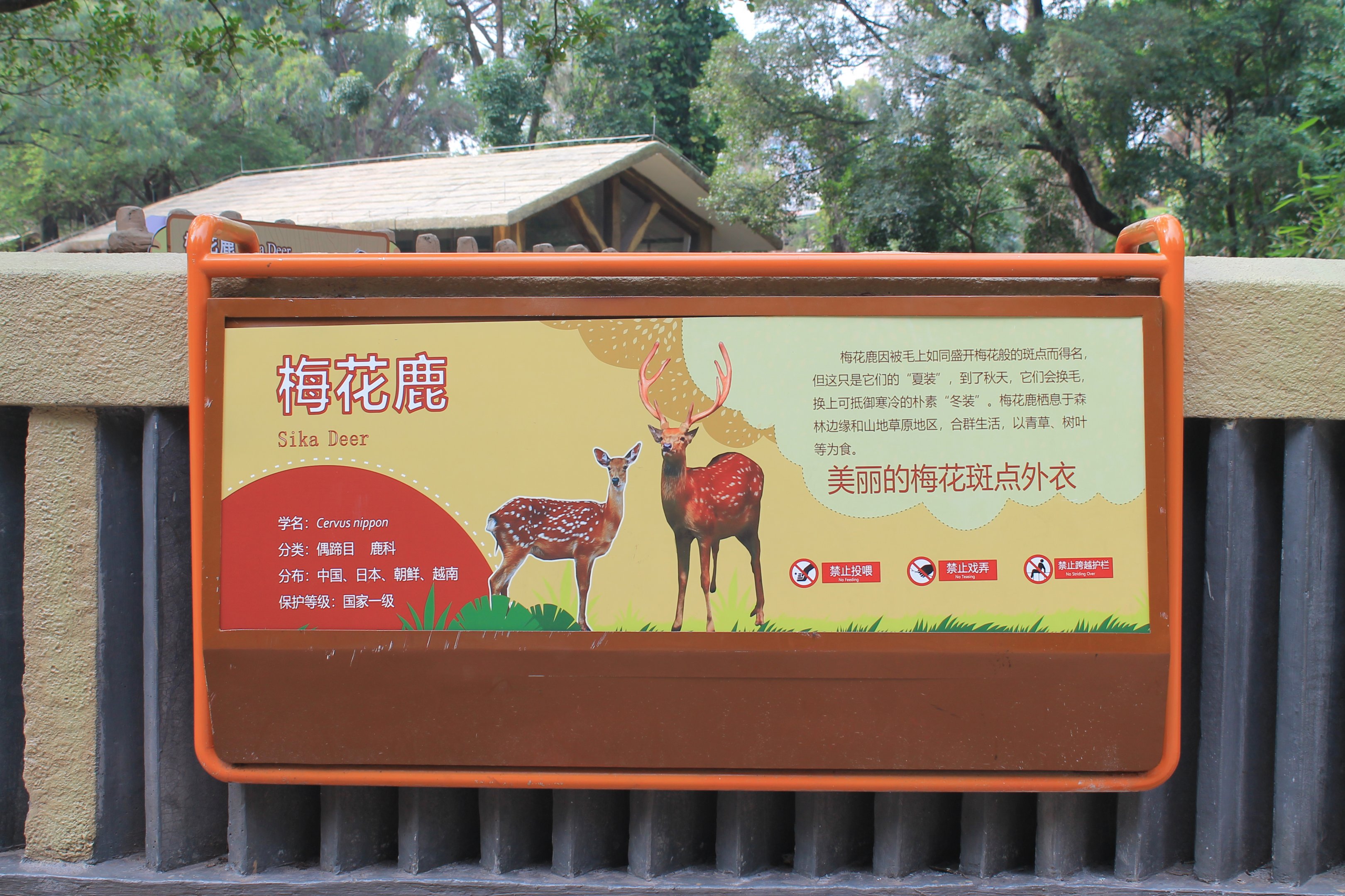 Signage for Sika Deer (Cervus nippon)
