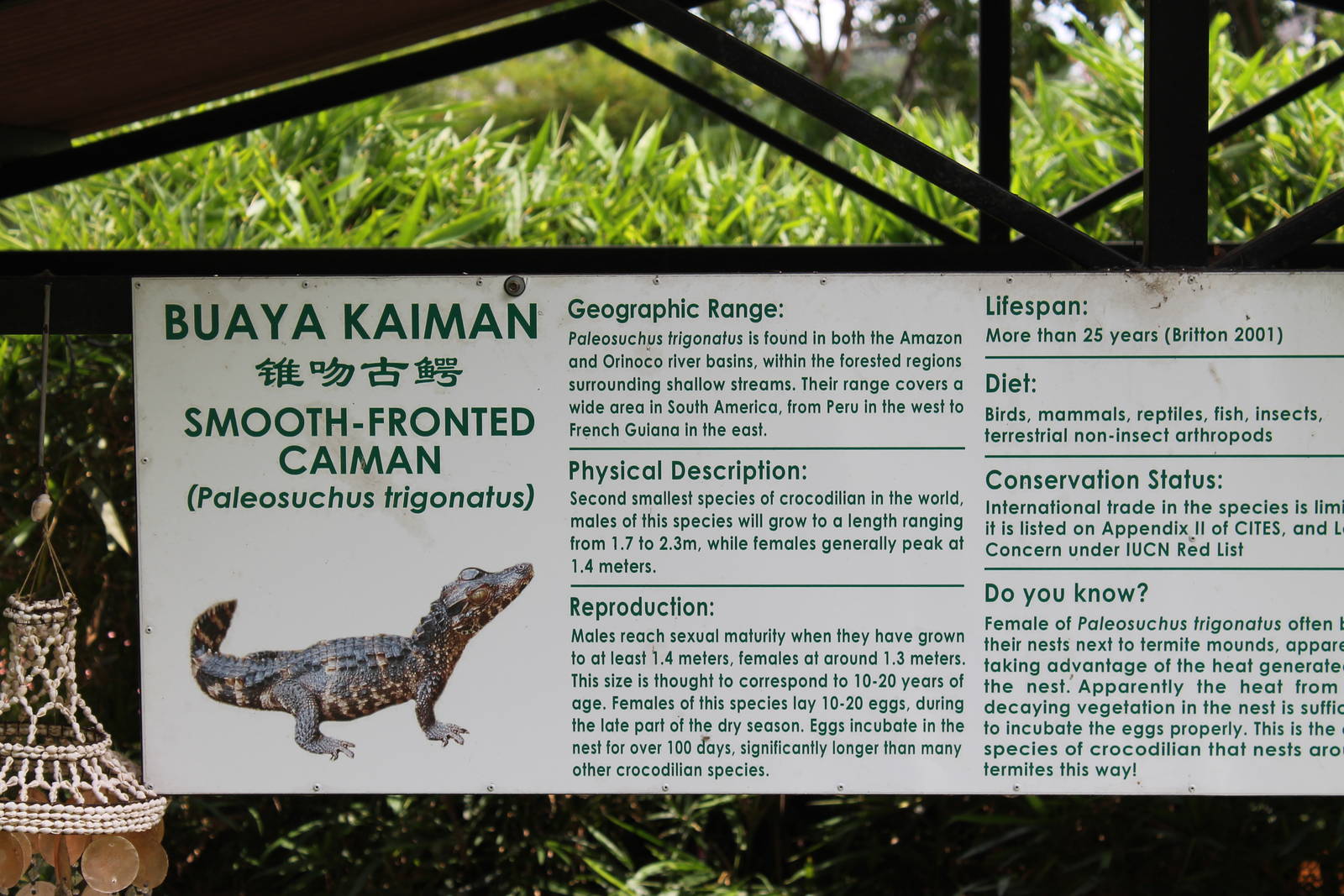 signage for smooth-fronted caiman