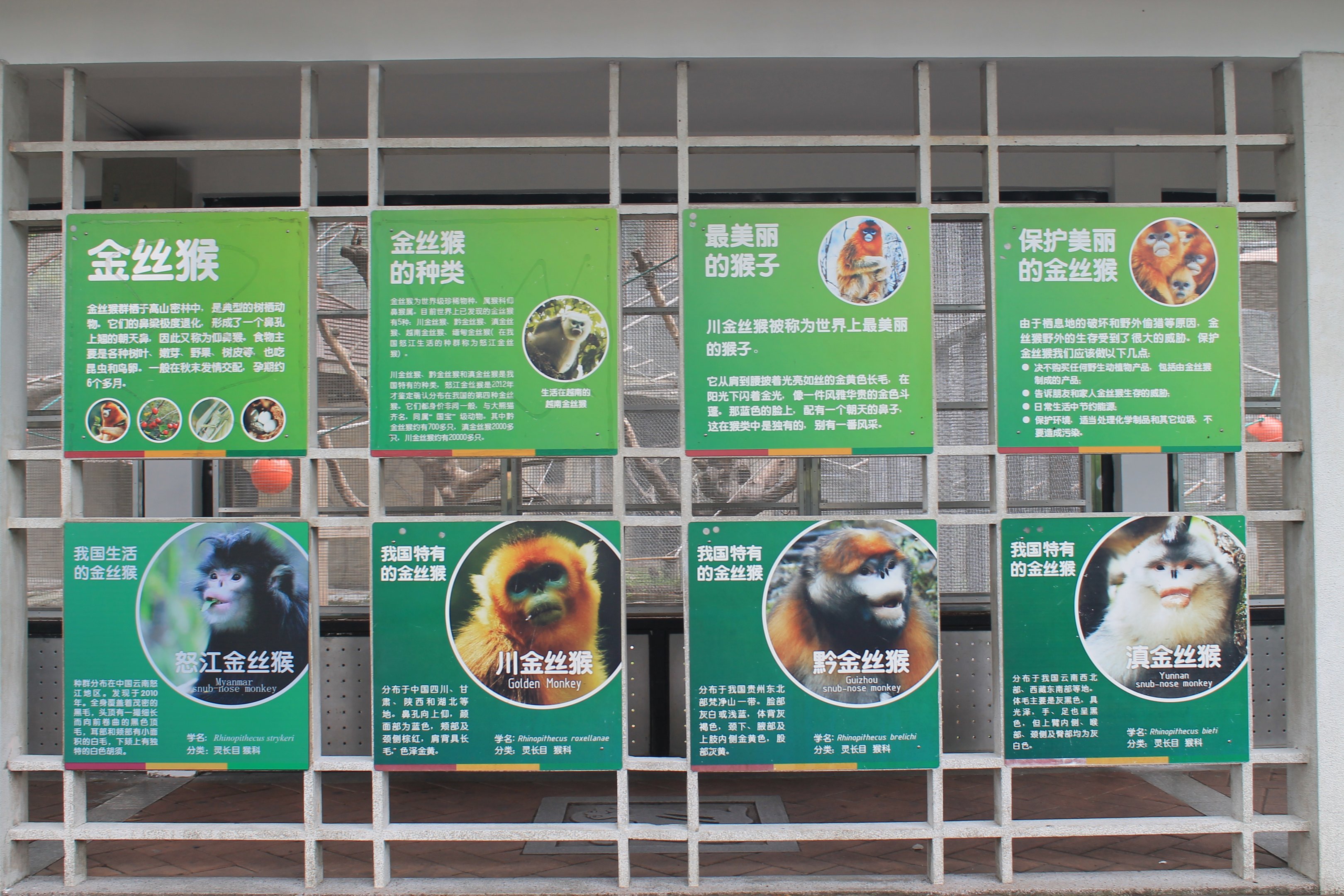Signage for Snubnose Monkey species