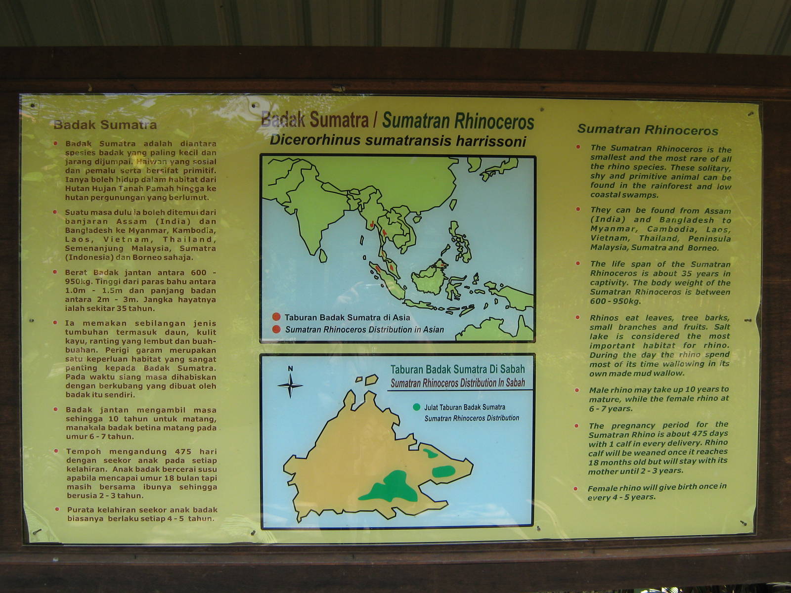 signage for Sumatran rhino (Dicerorhinus sumatrensis harrissoni)