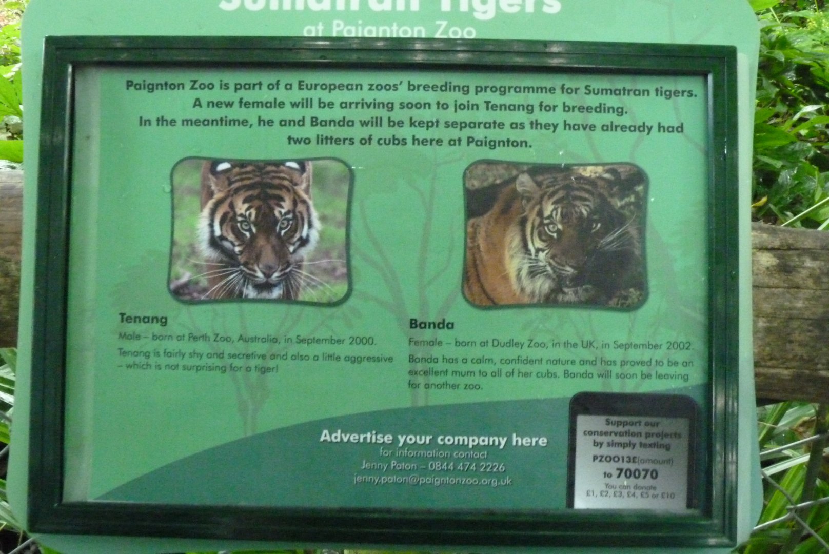Signage for Sumatran Tigers, 2013