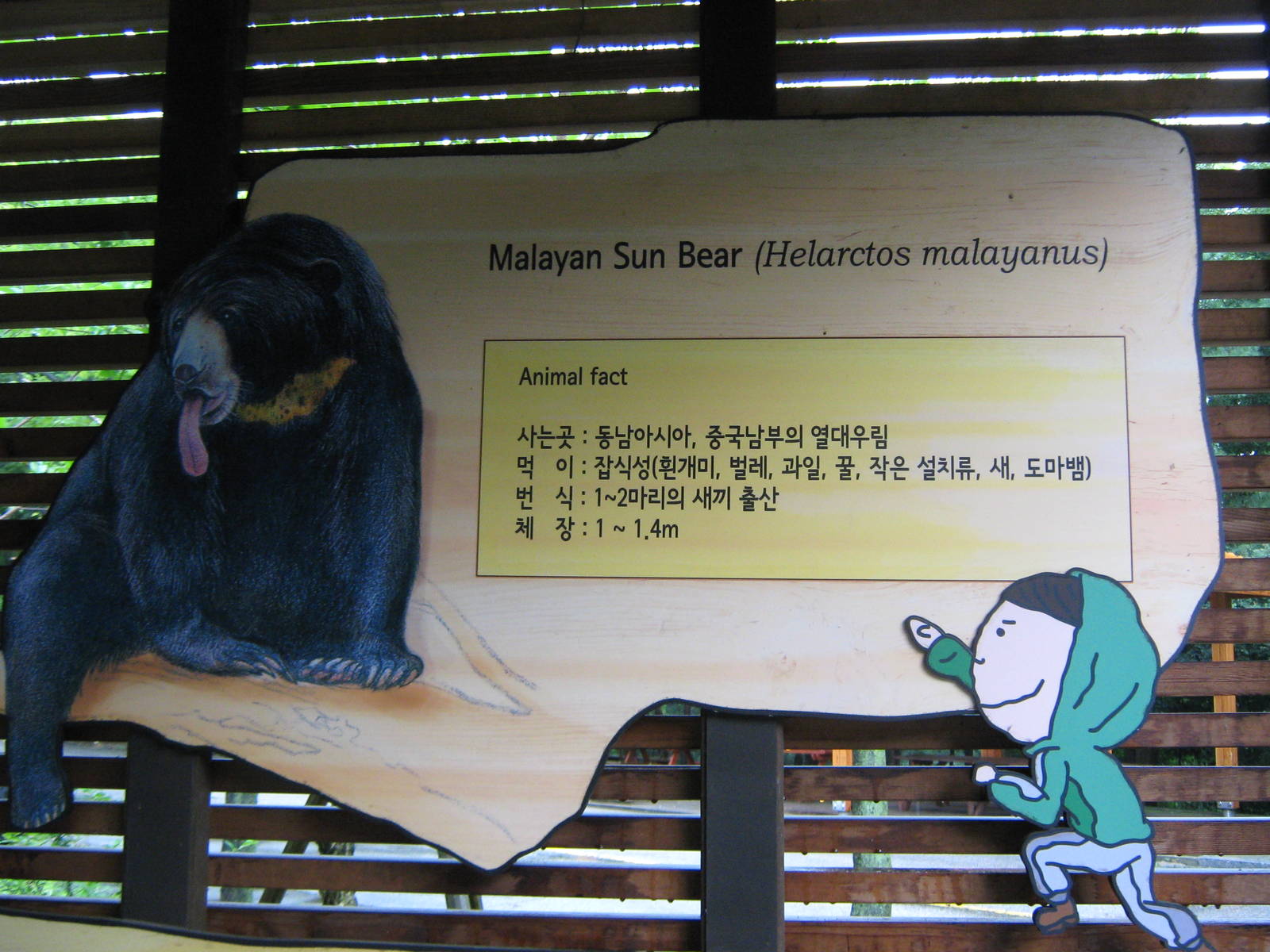 signage for sun bear