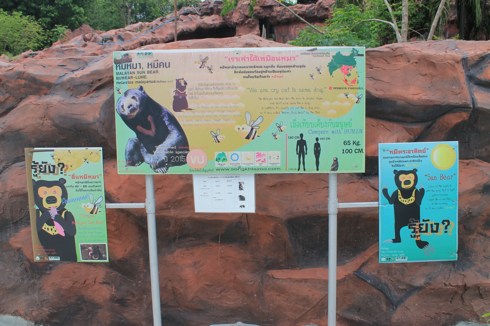 signage for Sun Bears (Helarctos malayanus)
