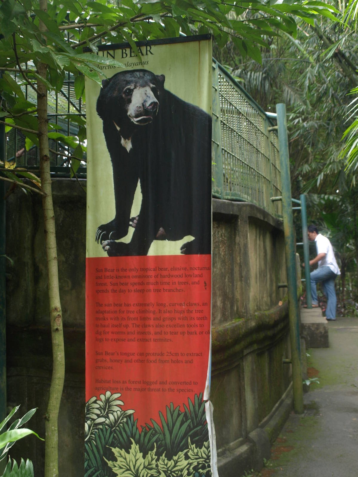 Signage for sun bears