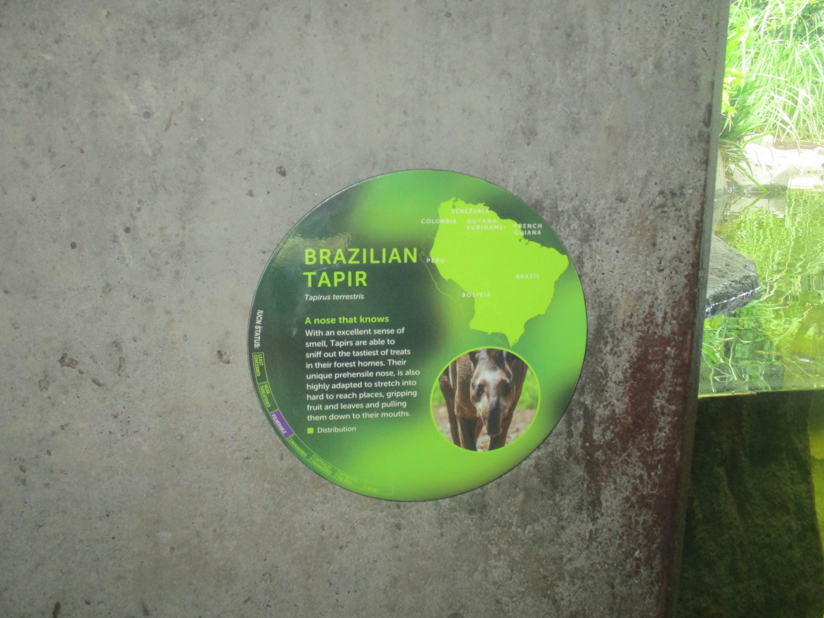 Signage for Tapir