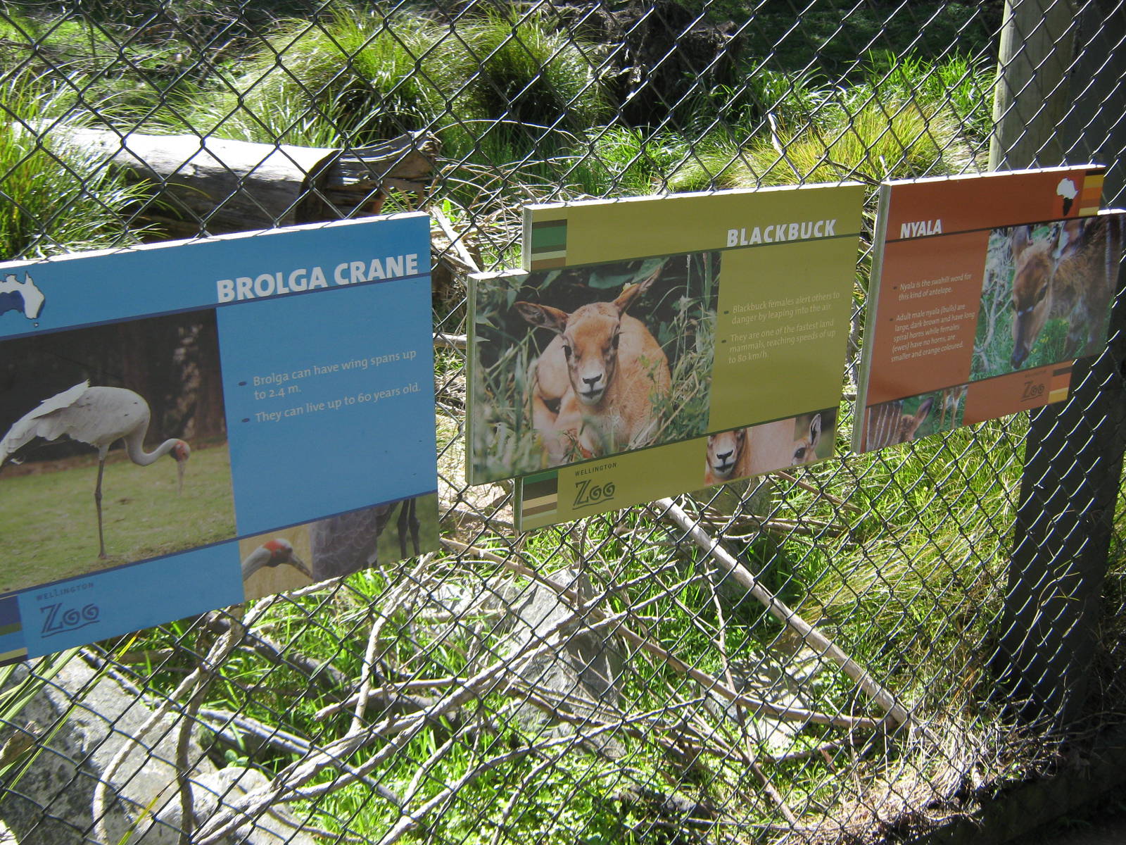 signage for the African Savannah