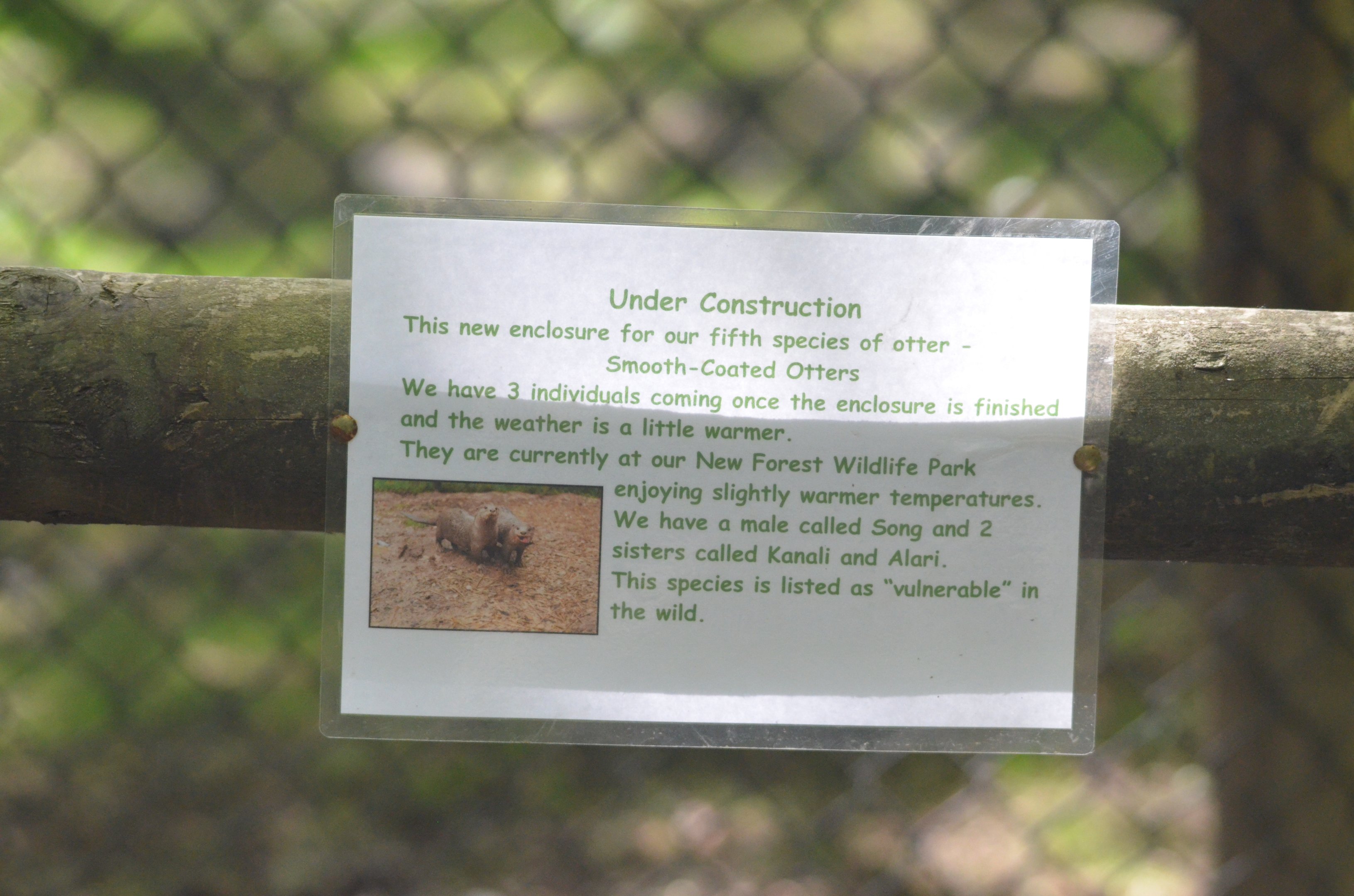 Signage for the Arrival of Otter Species Number Five at Chestnut, 14/05/17