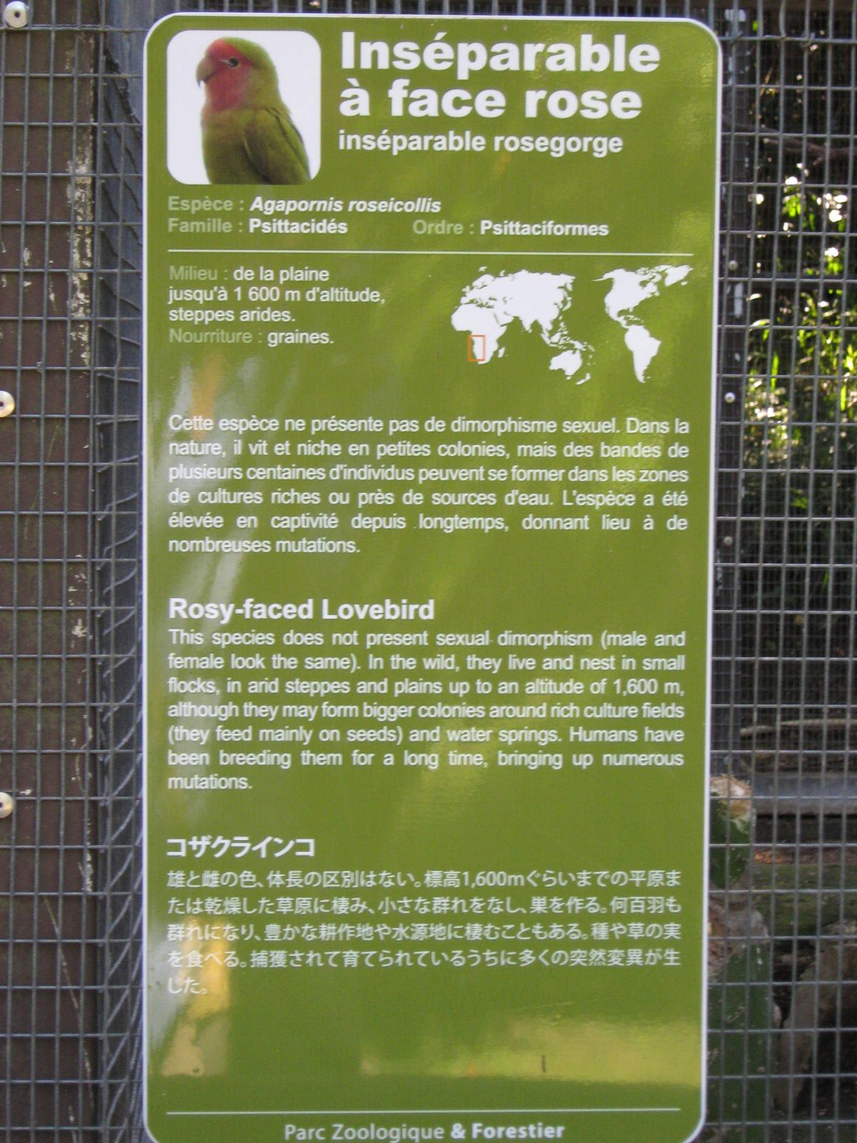 signage for the inseparables!