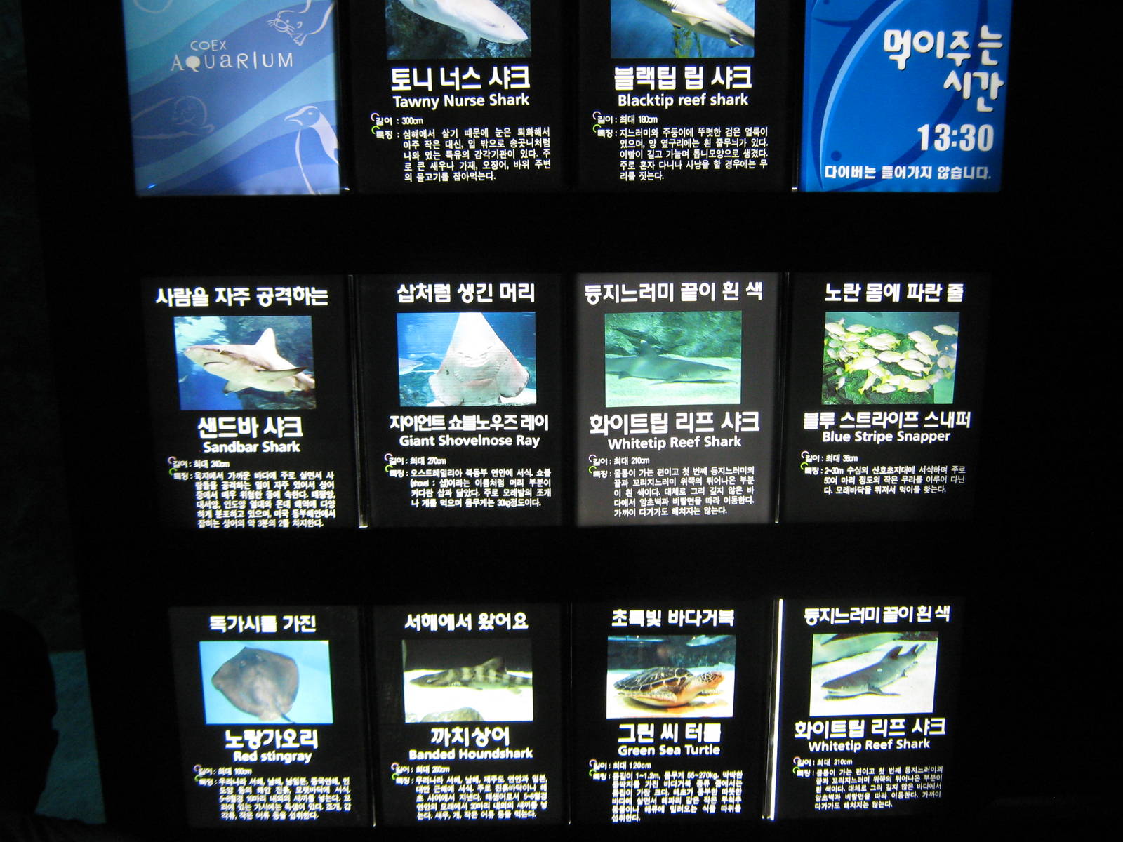 signage for the ocean tank