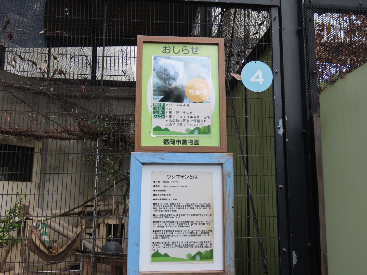 Signage for the Tsushima marten