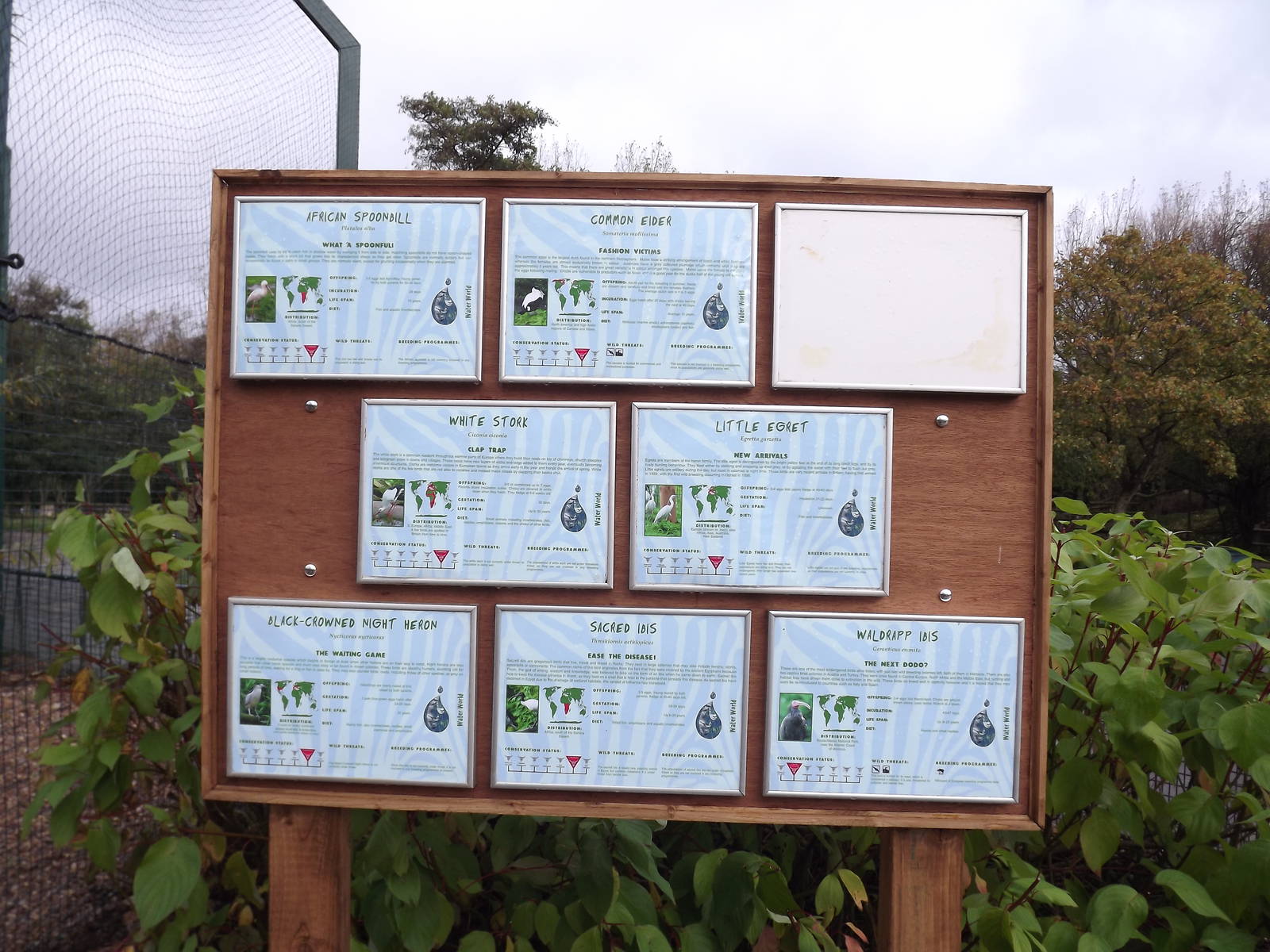 Signage for the wader aviary at Blackpool zoo 16/10/11