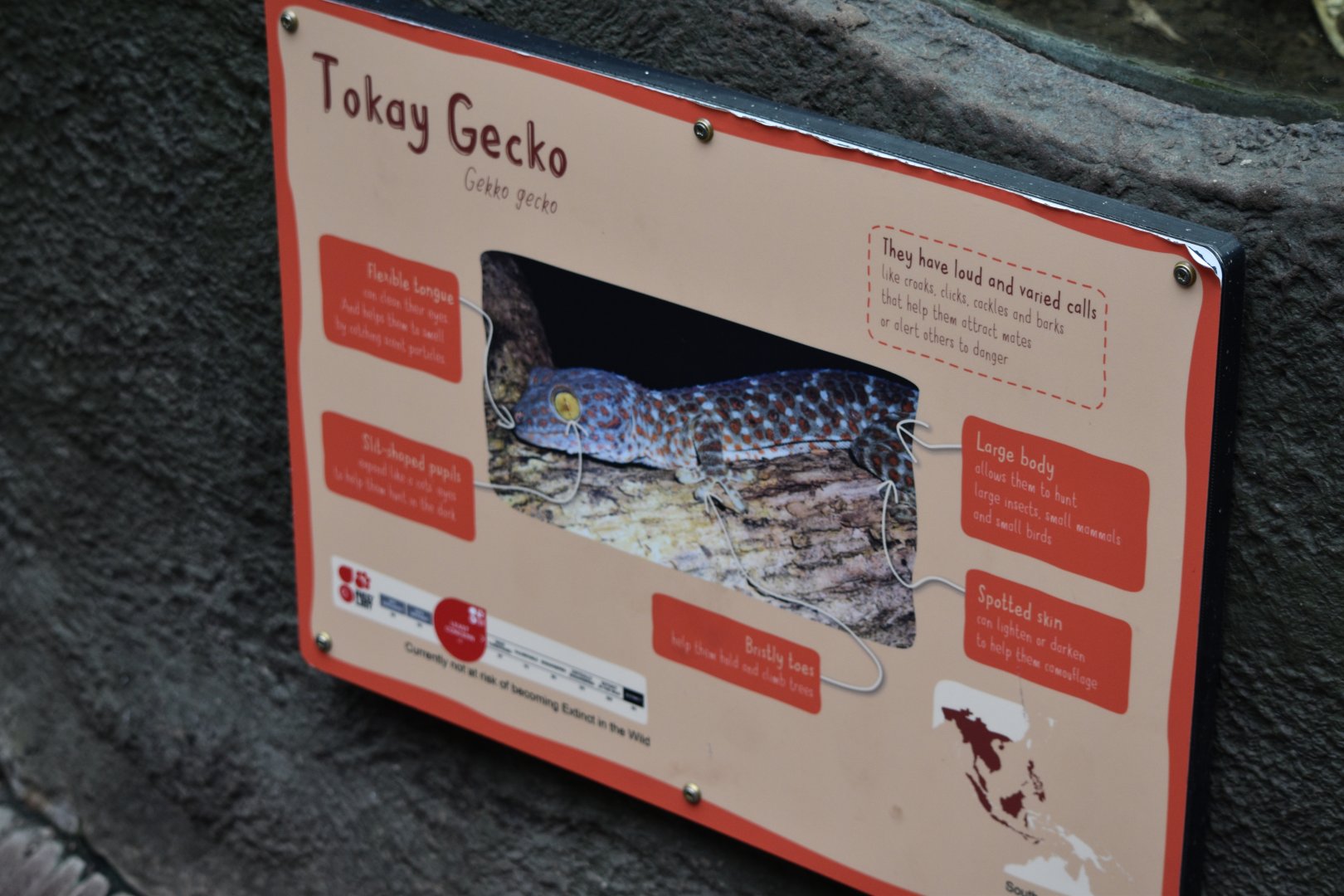 Signage for tokay gecko