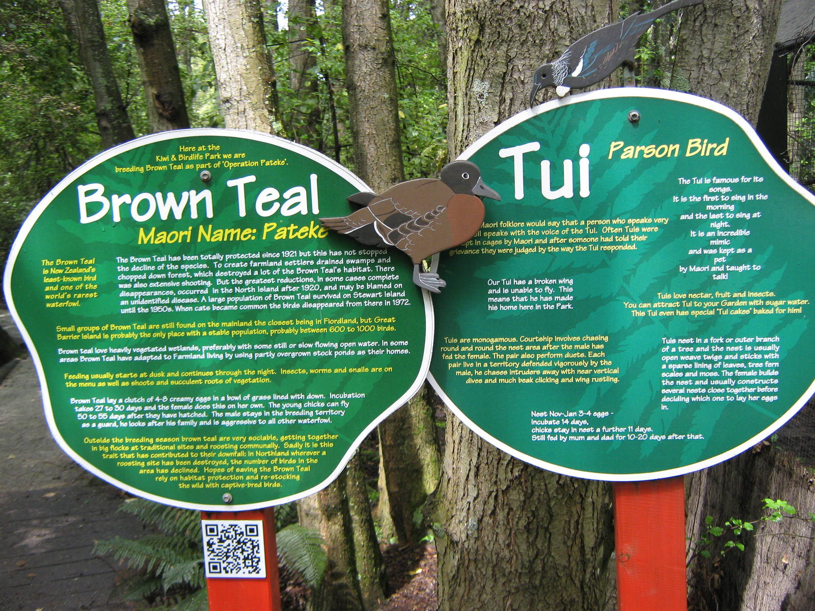 signage for tui and brown teal