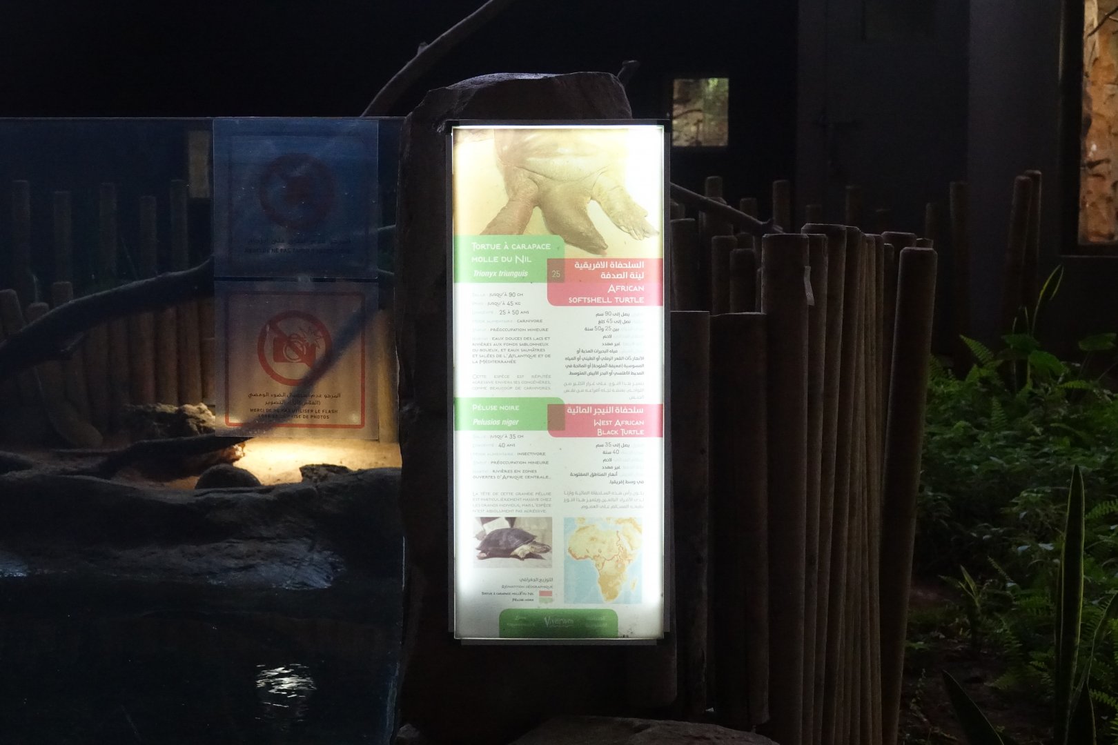 Signage for Turtle Enclosure opposite Crocodiles