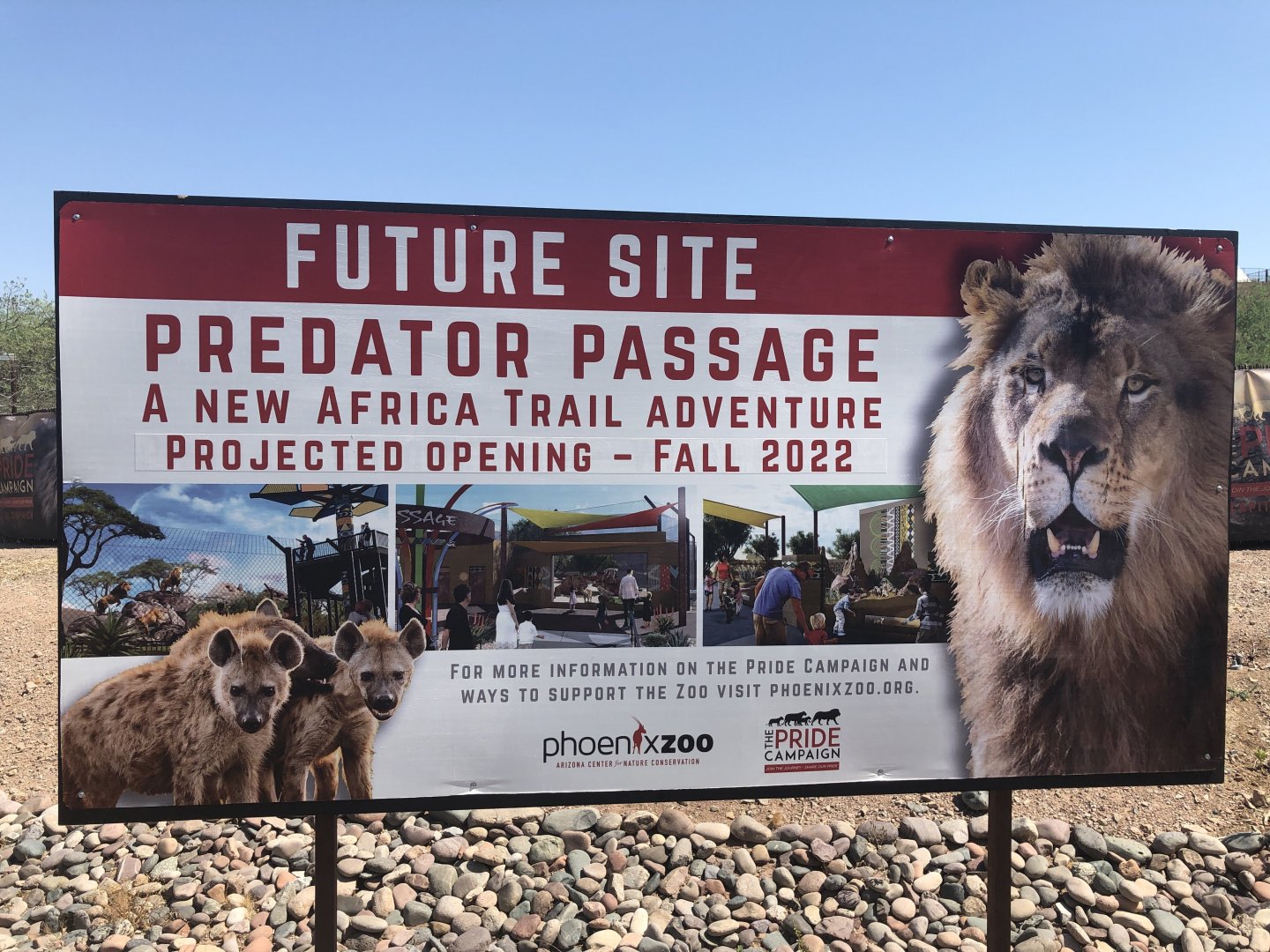 Signage for upcoming lion exhibit