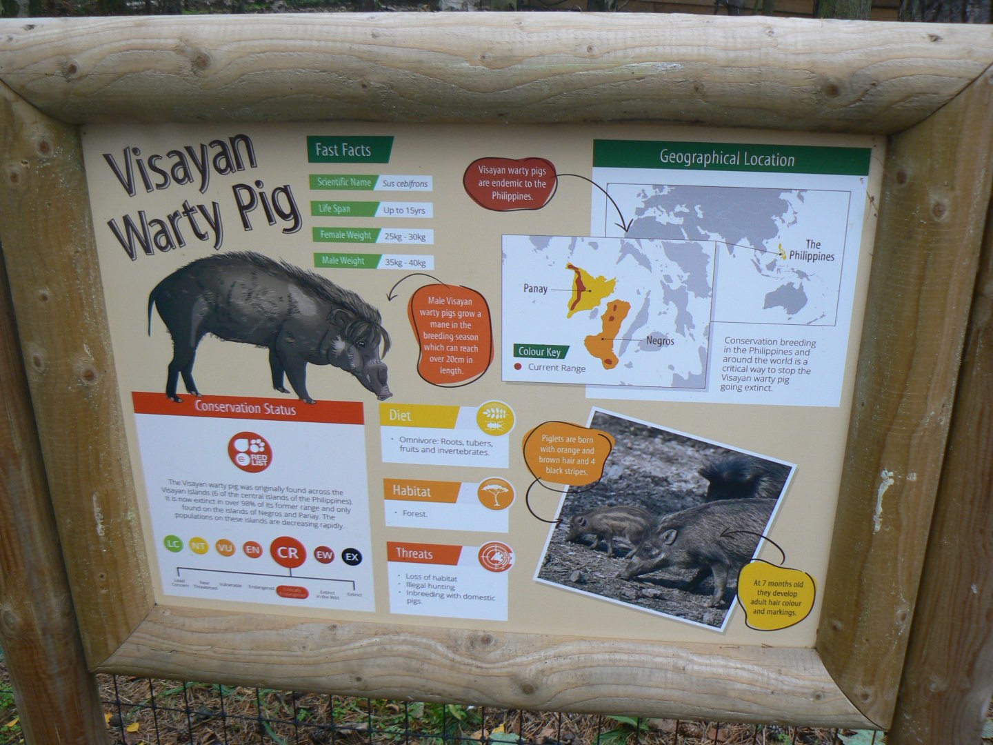 Signage for Visayan Warty Pigs - 1 November 2018