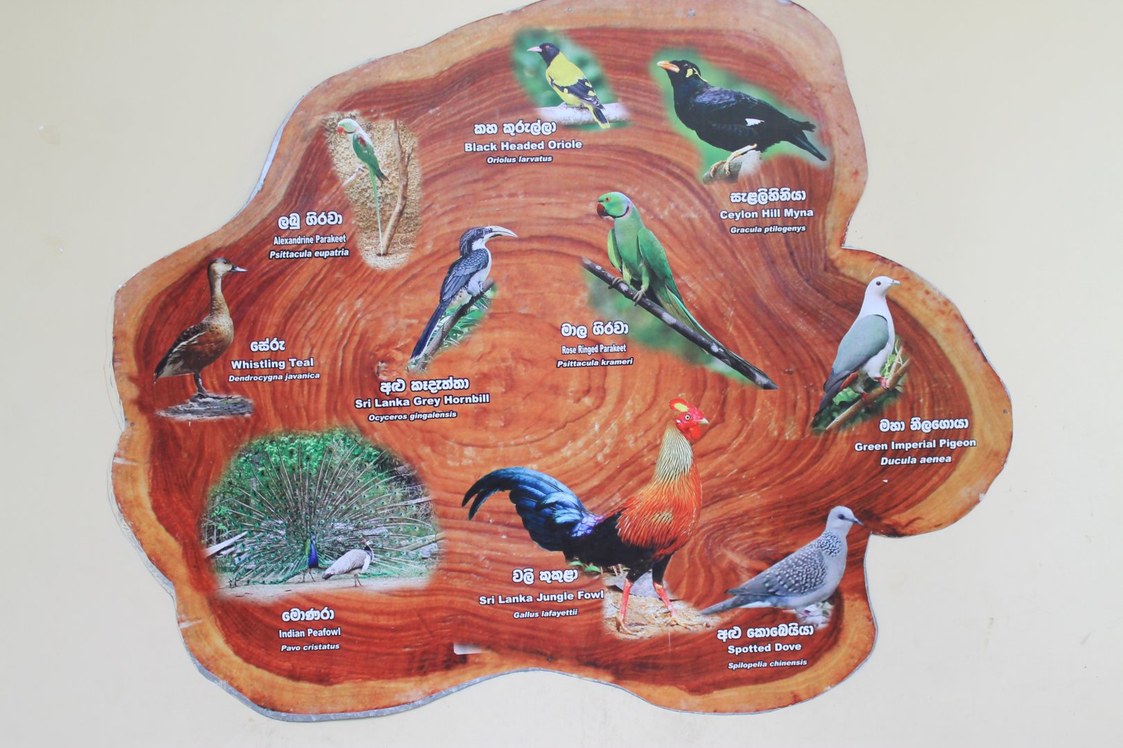 signage for walk-through aviary