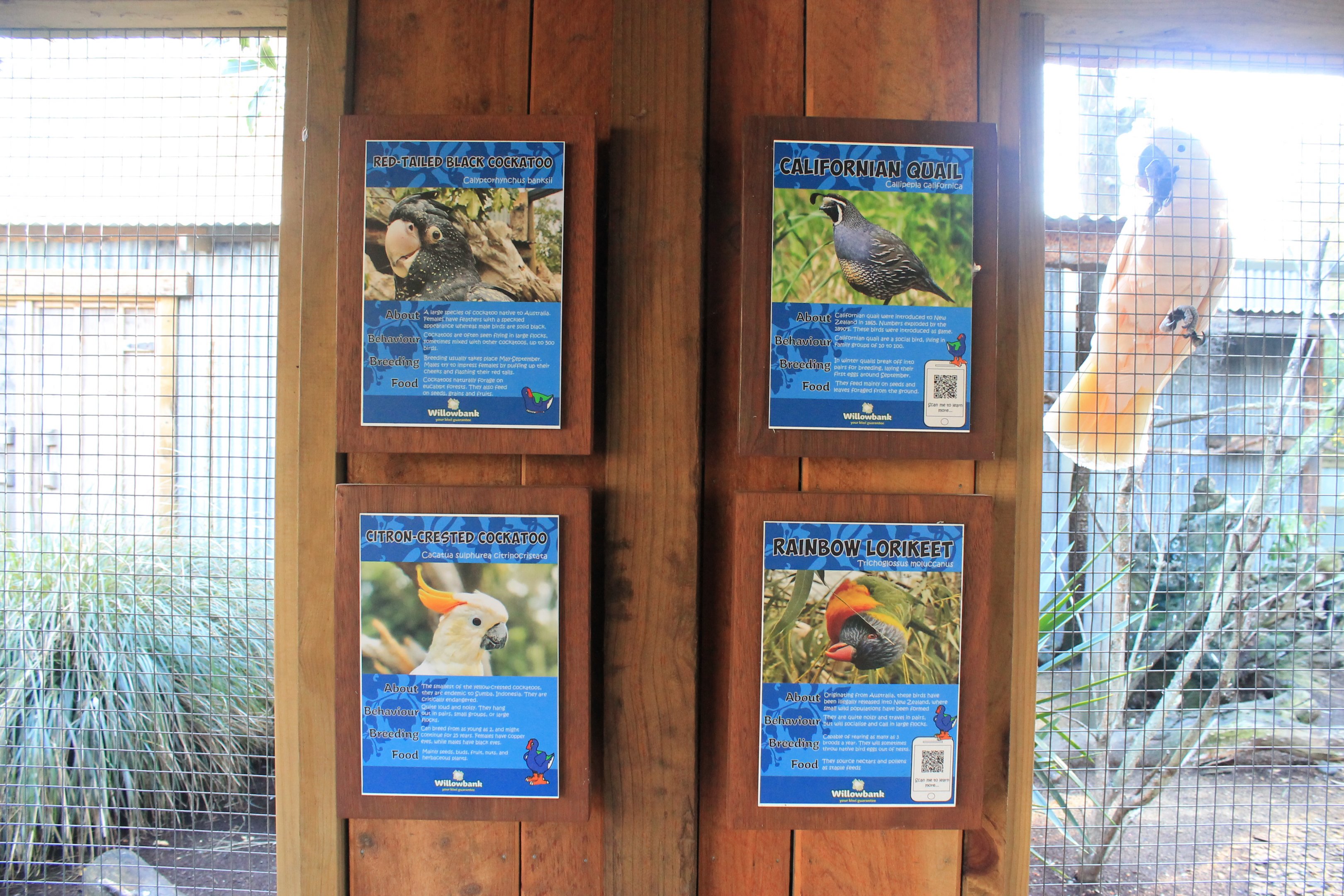 signage for walk-through aviary