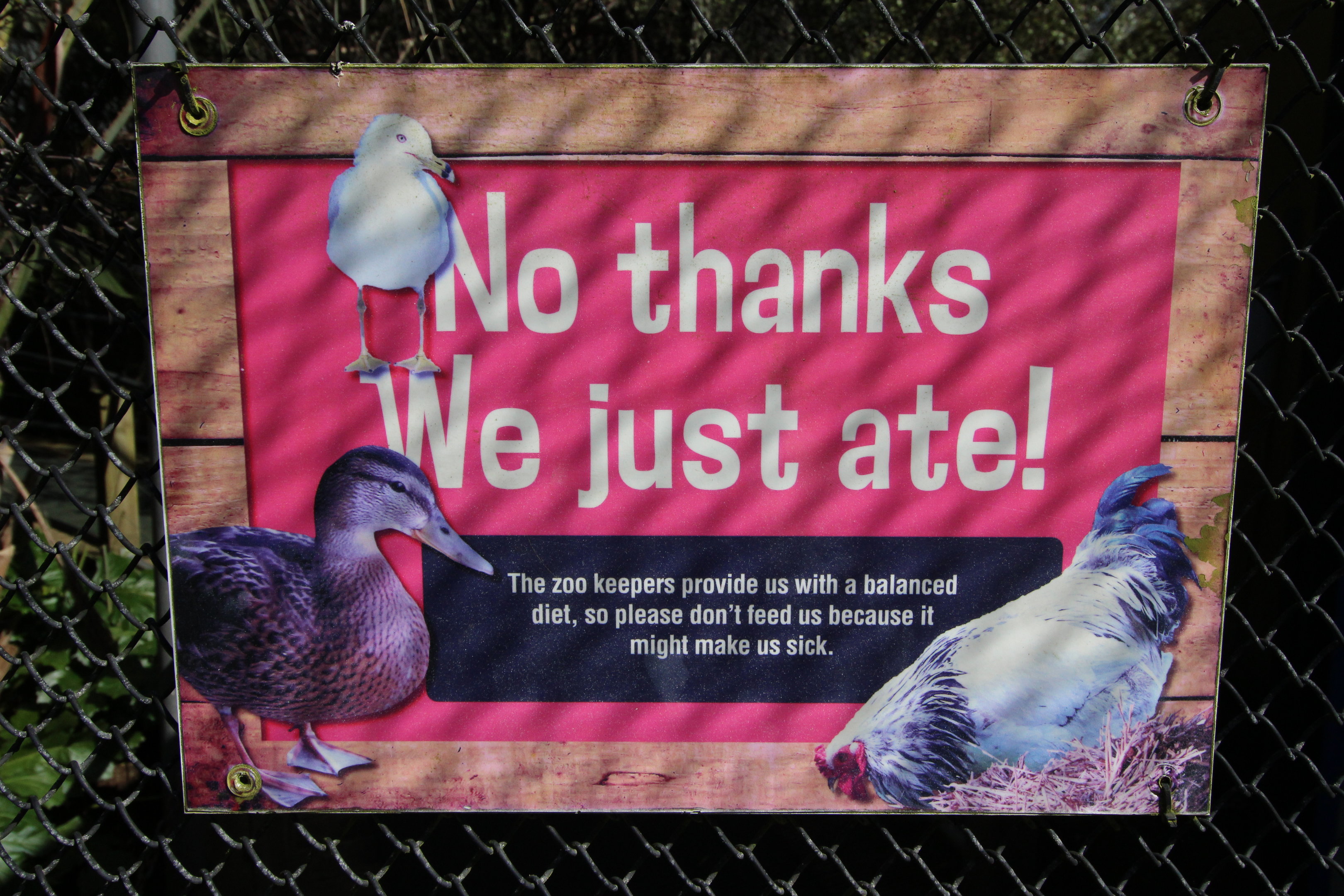 Signage for Walk-through Aviary