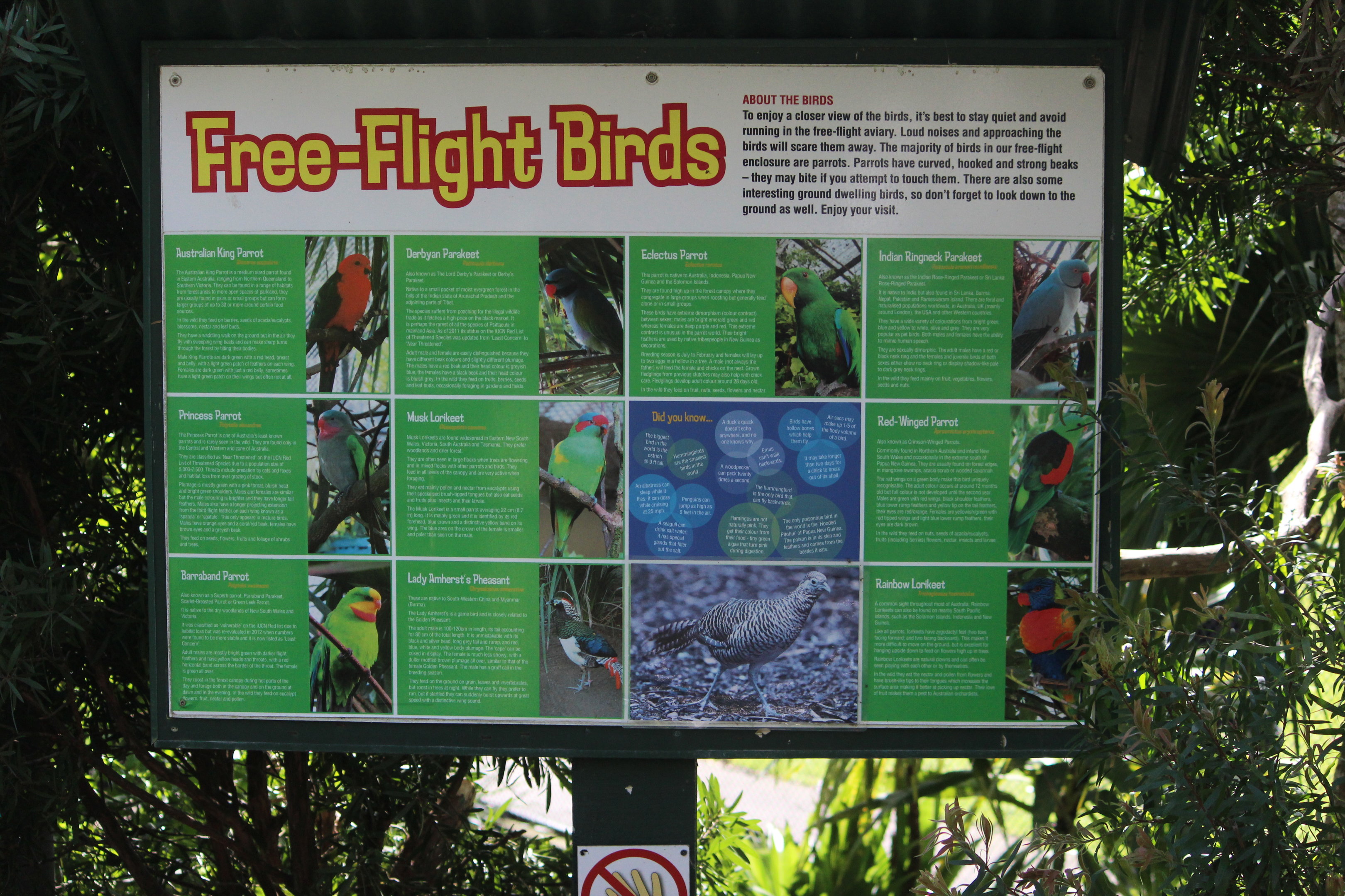 Signage for Walk-through Aviary