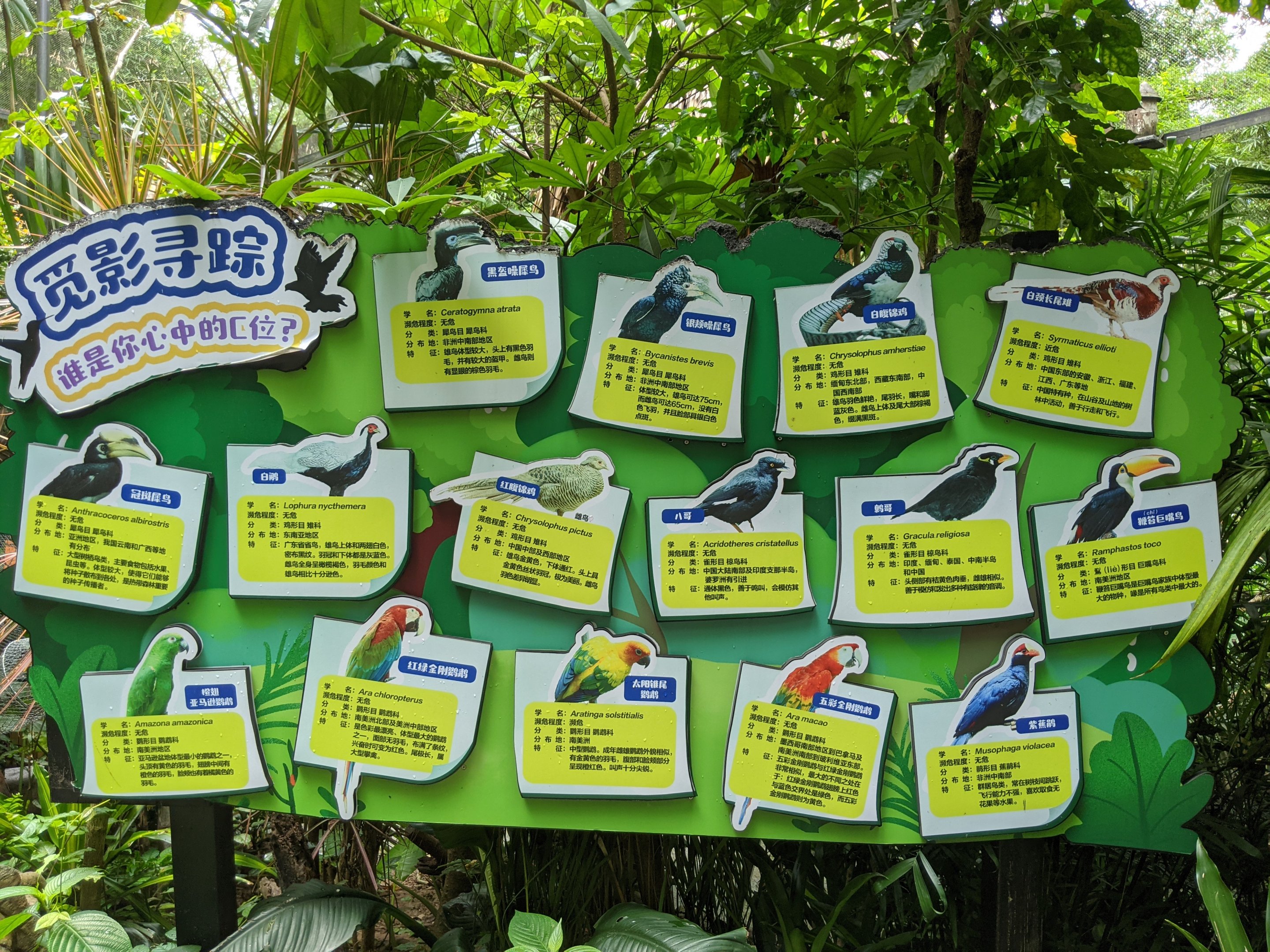Signage for walk-through aviary