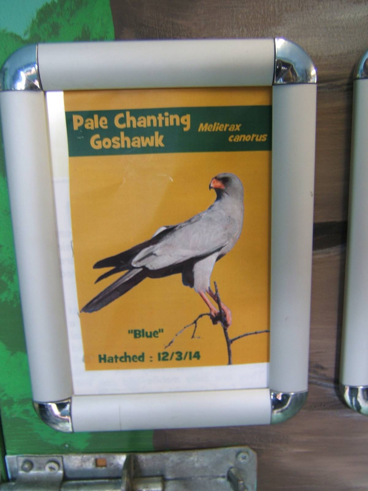 Signage for what could well be the UK first breeding!!