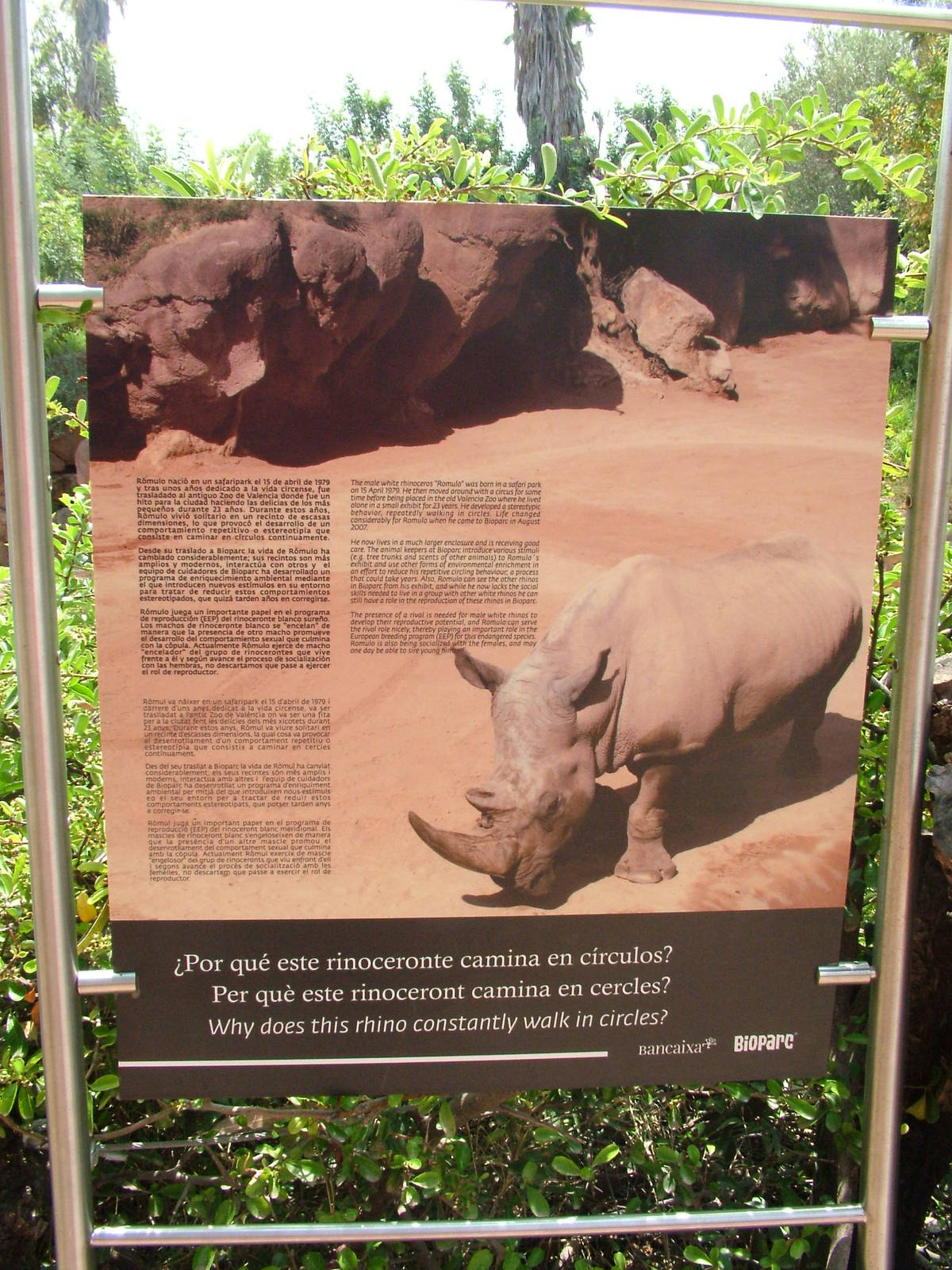 Signage for White Rhino Romulo at Bioparc Valencia, 28/05/11