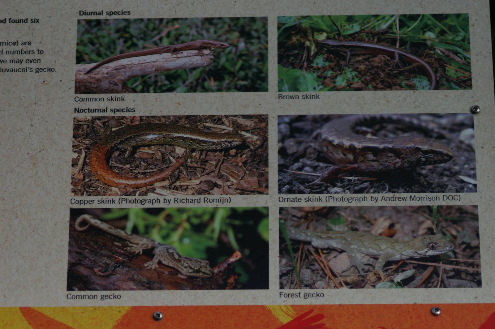 signage for wild lizards in the reserve