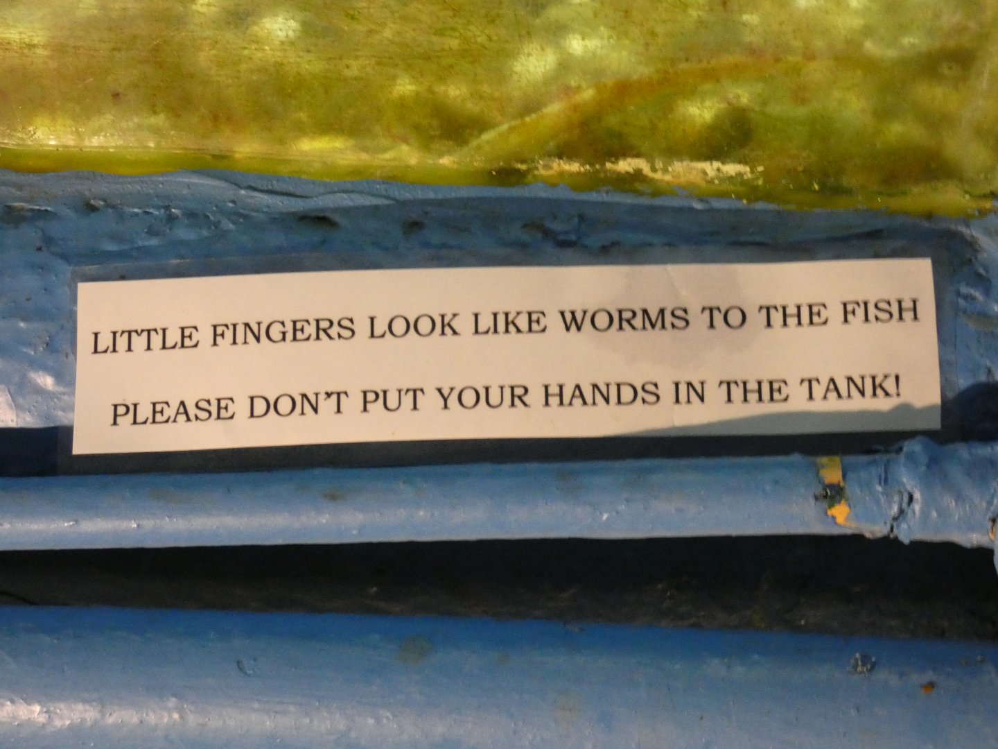 Signage (Fowey Aquarium)