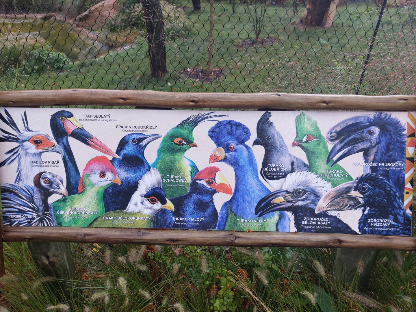 signage Gora ark aviary