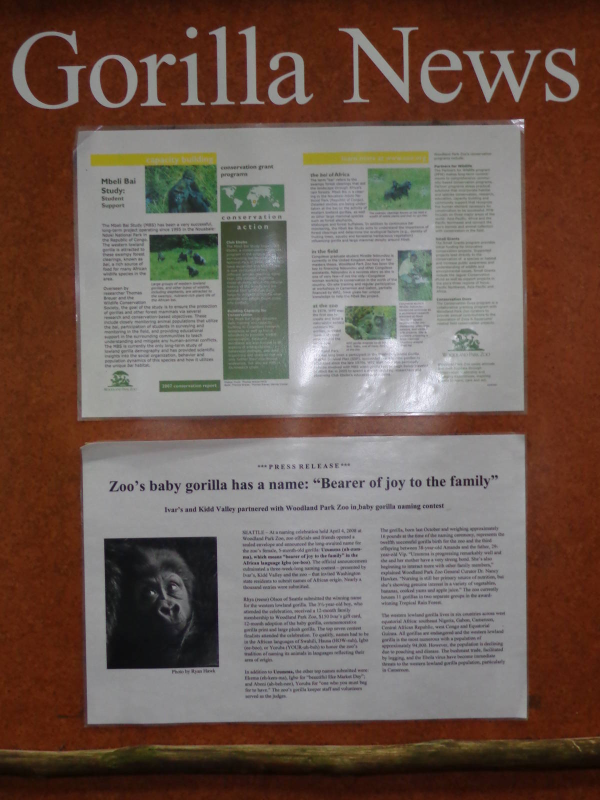 Signage: Gorilla News