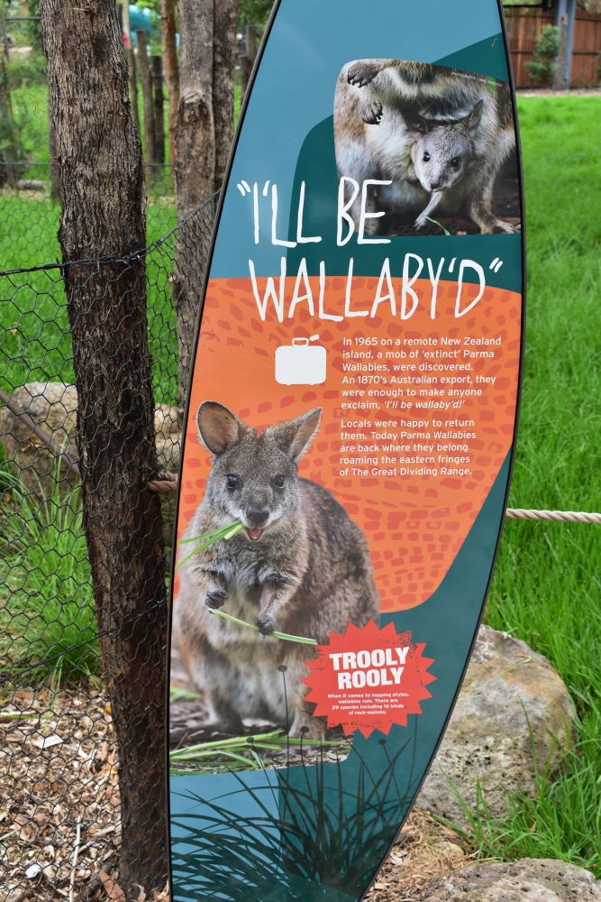 Signage: "I'll be Wallaby'd"