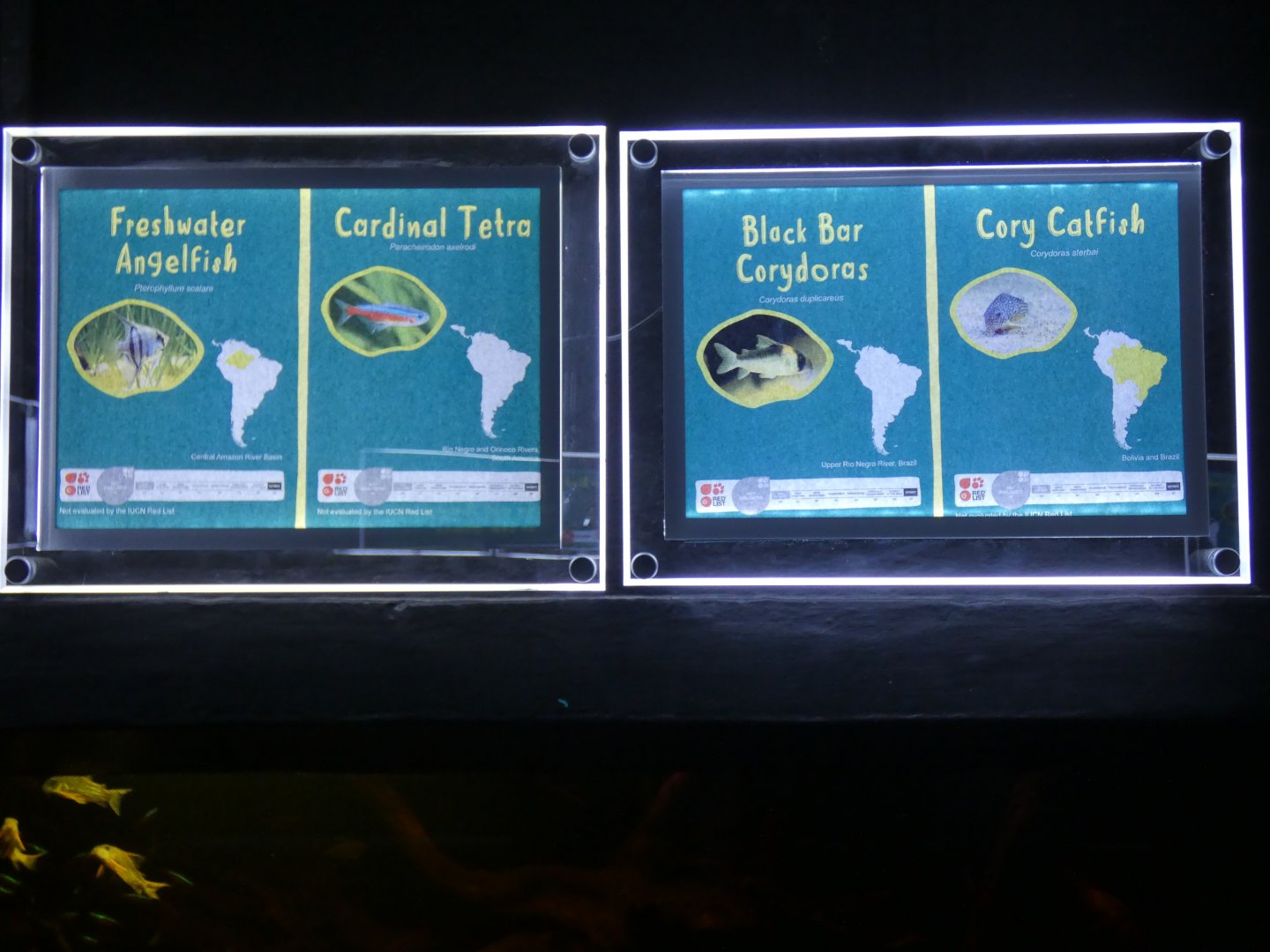 Signage in Aquarium