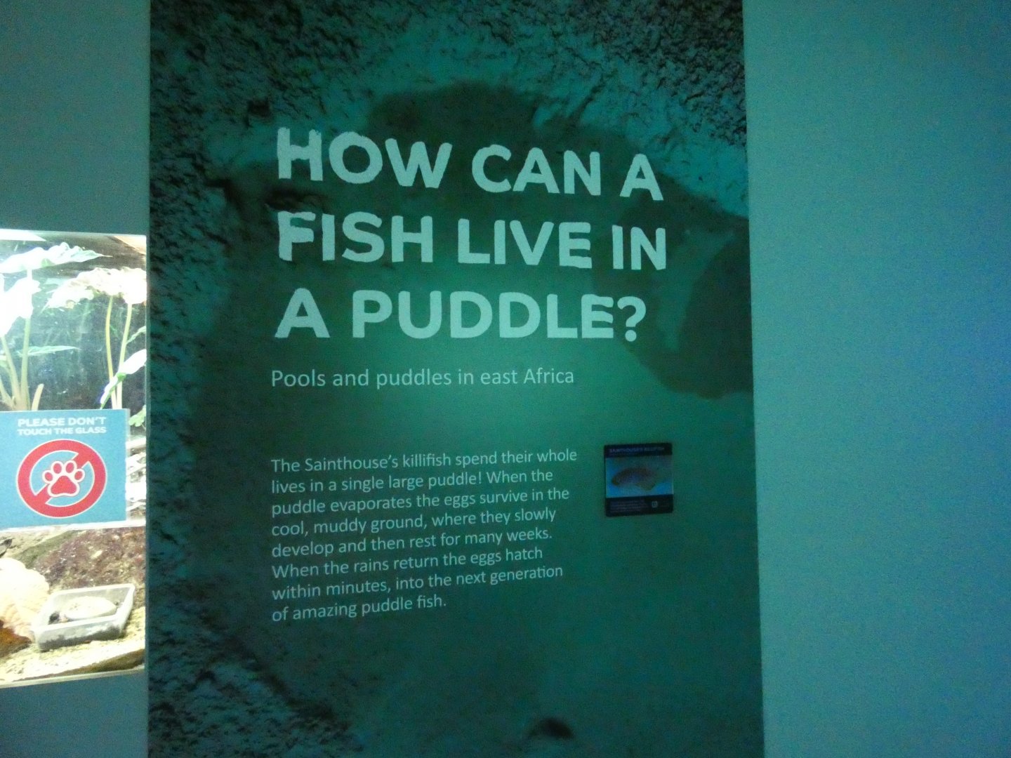 Signage in Aquarium