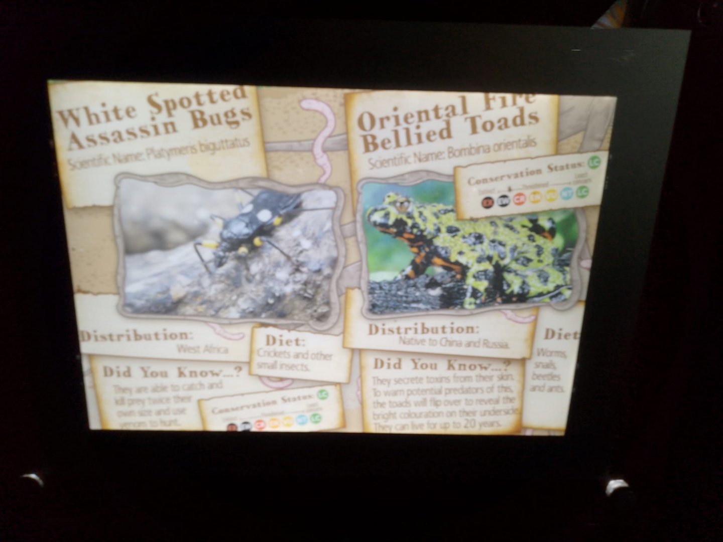 Signage in Beastie Burrow